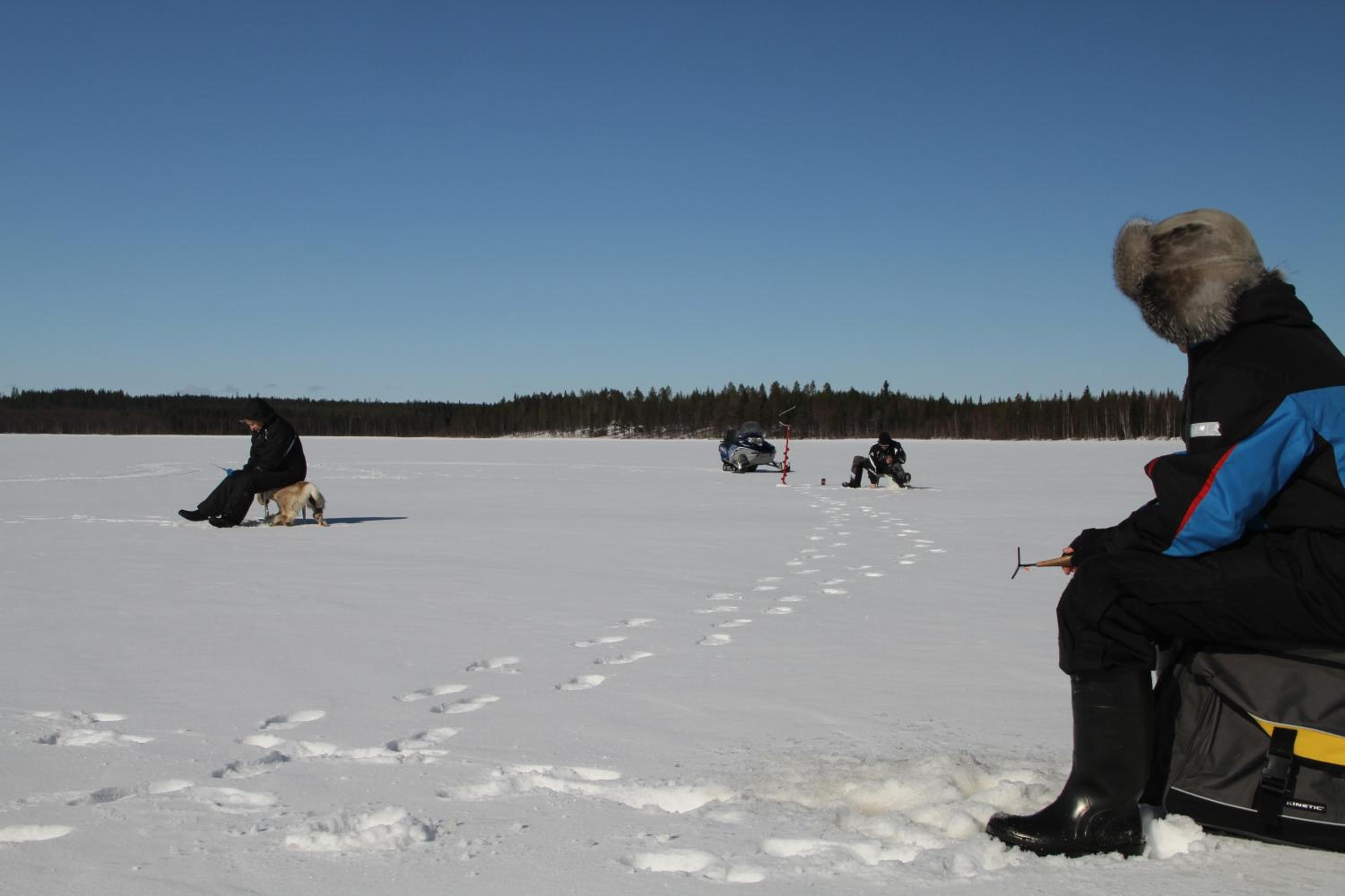 Photo 21