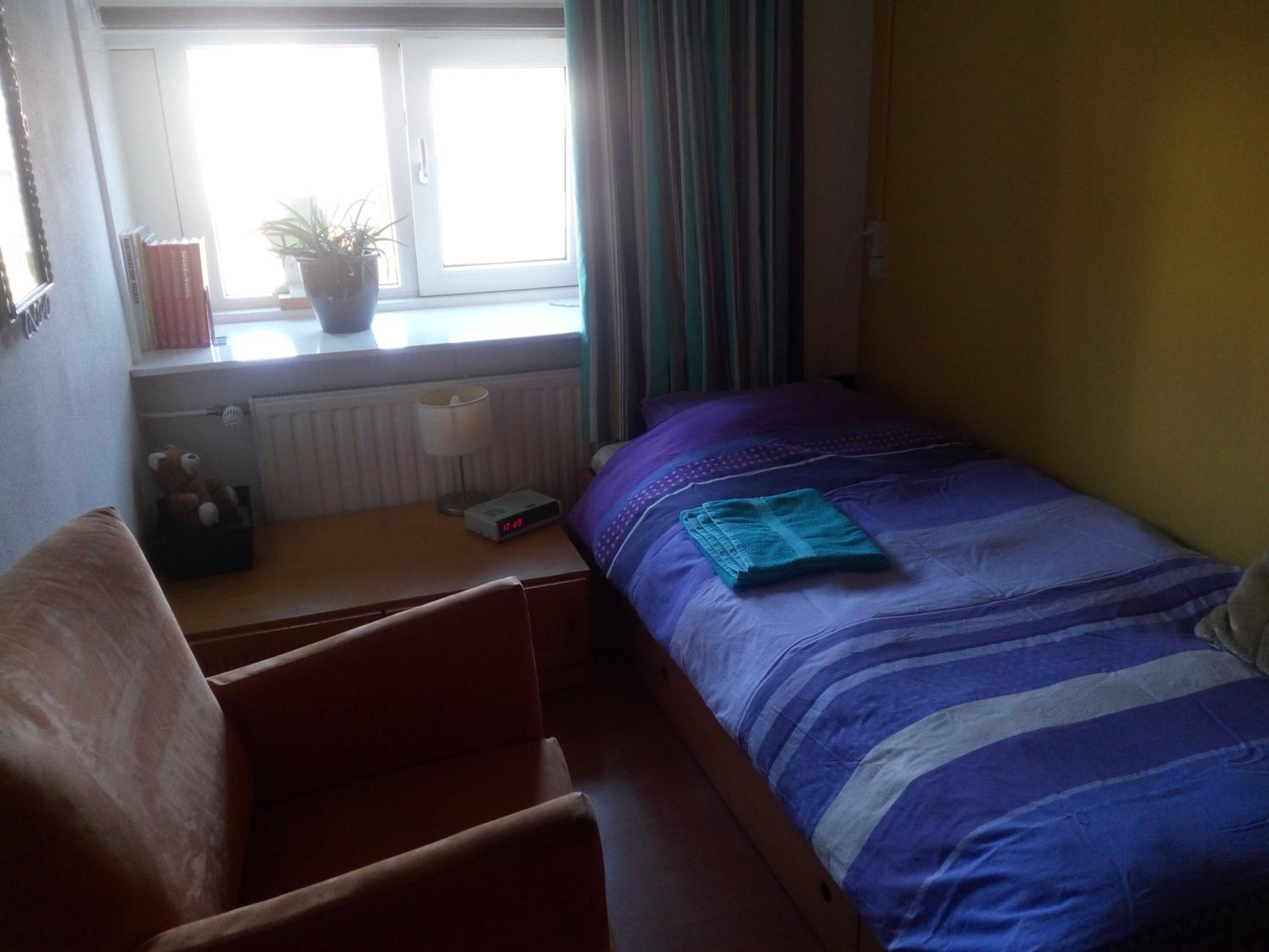 B&B Bij de koeien