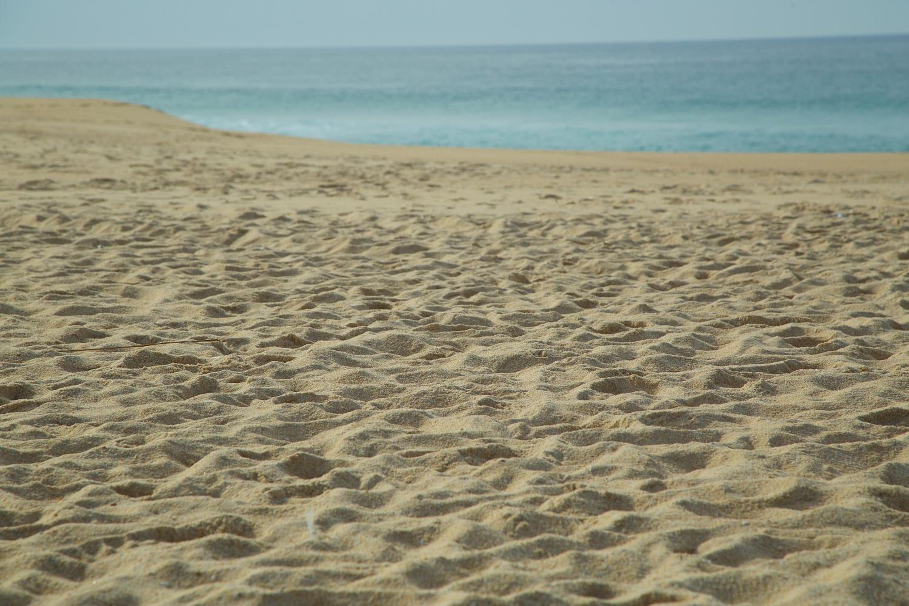 Photo 50