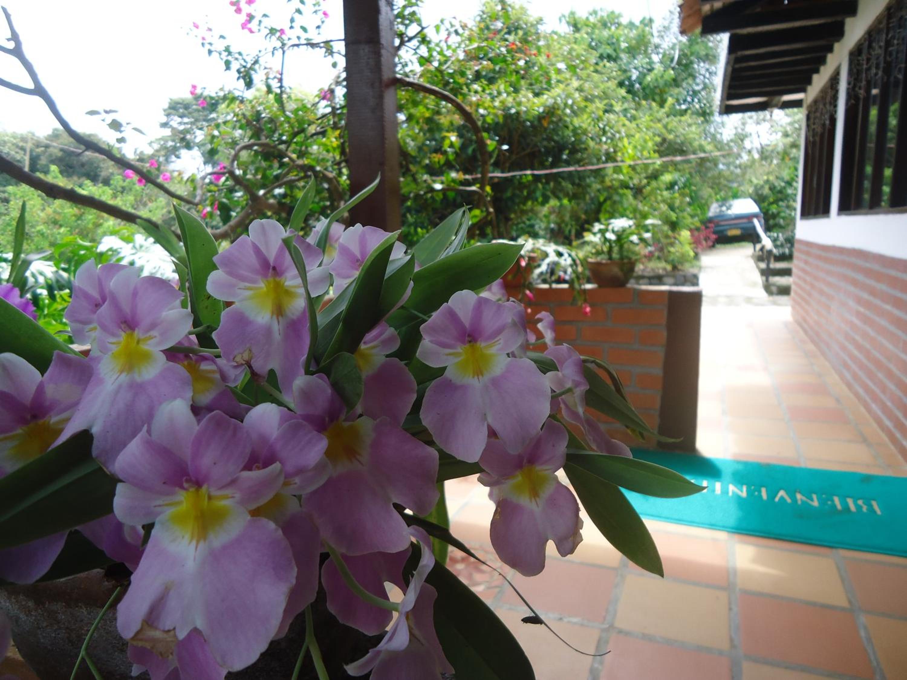 Hostal Pachamama, photo 85