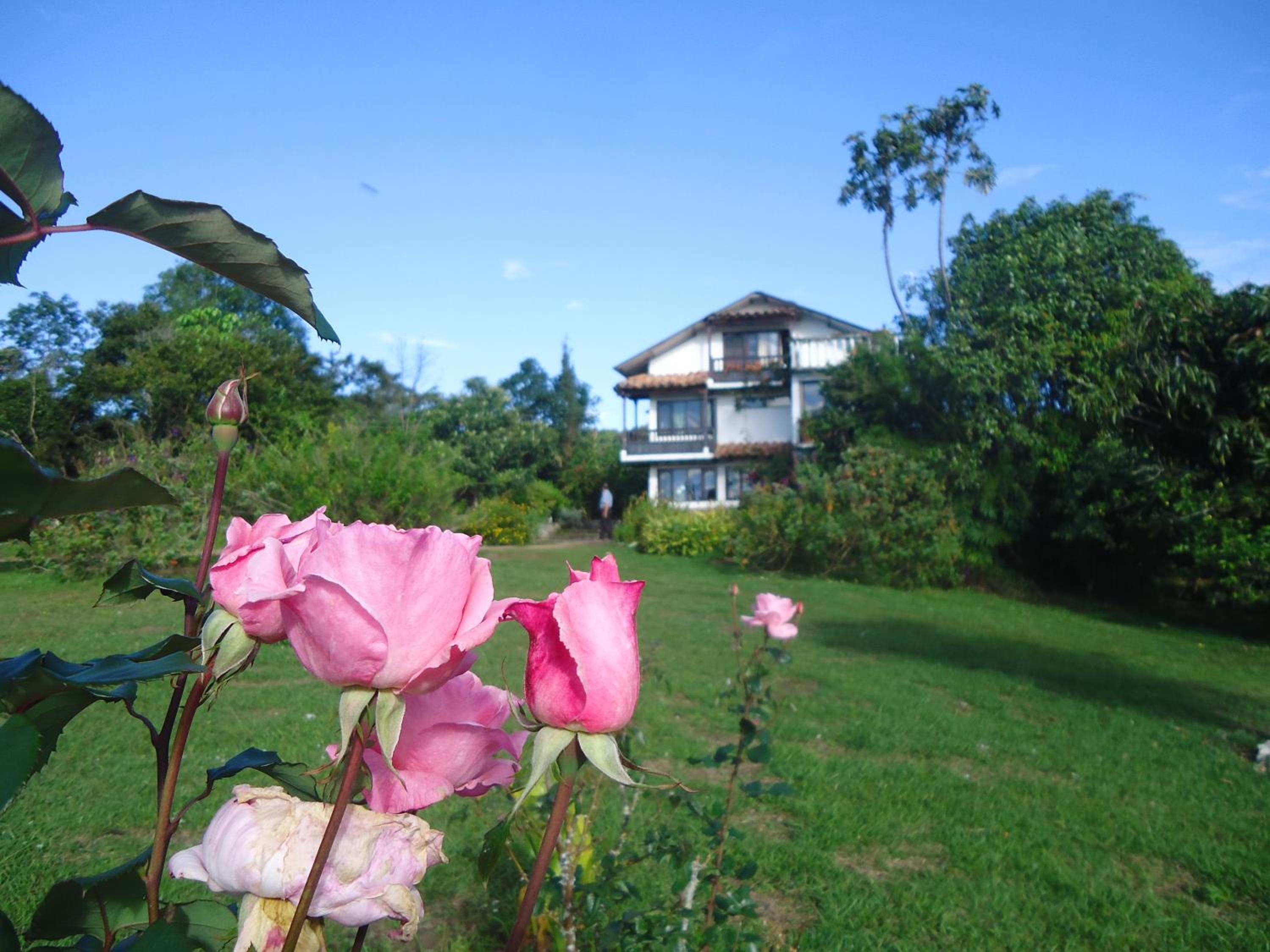 Hostal Pachamama