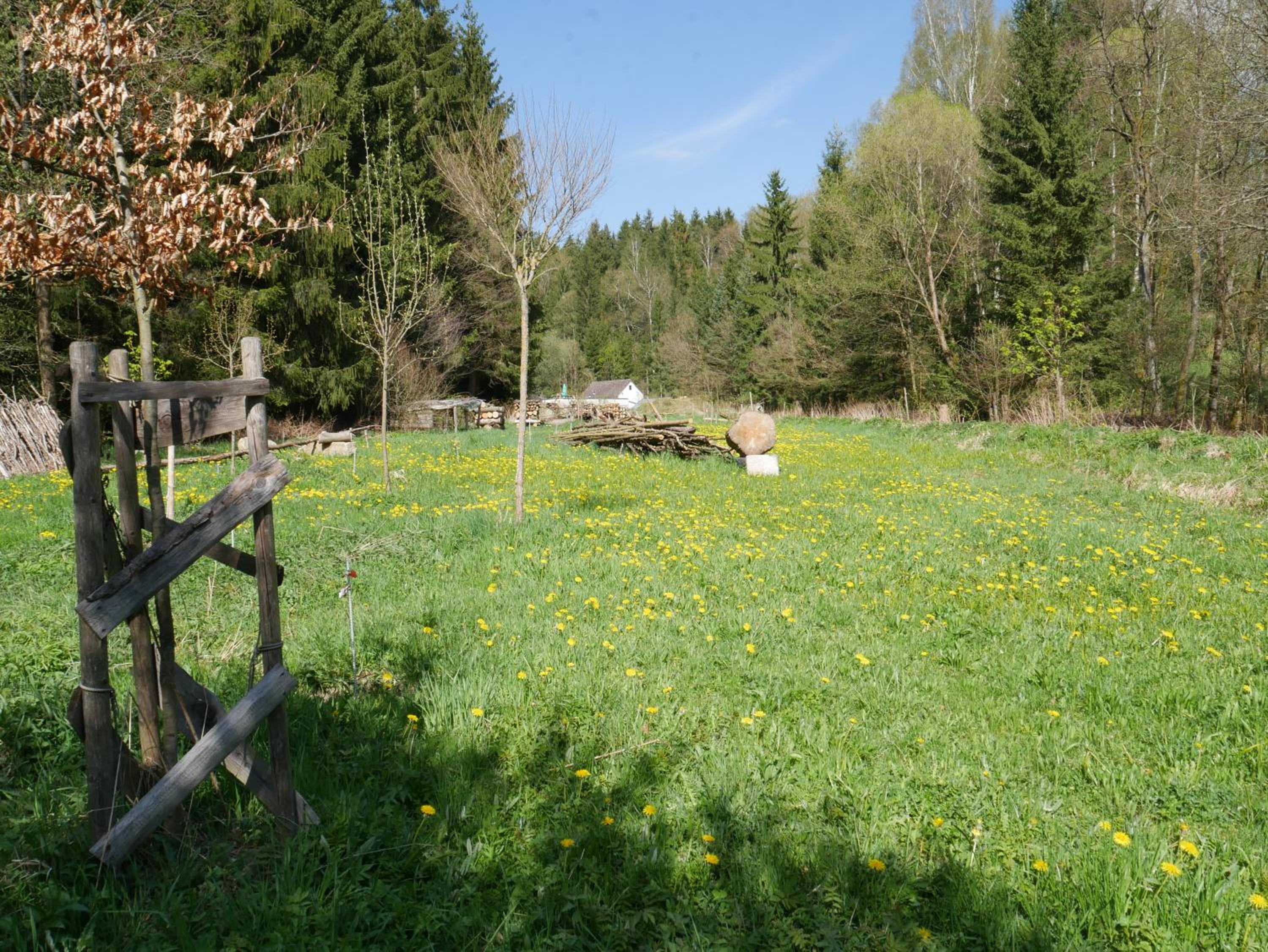 Grünlasmühle