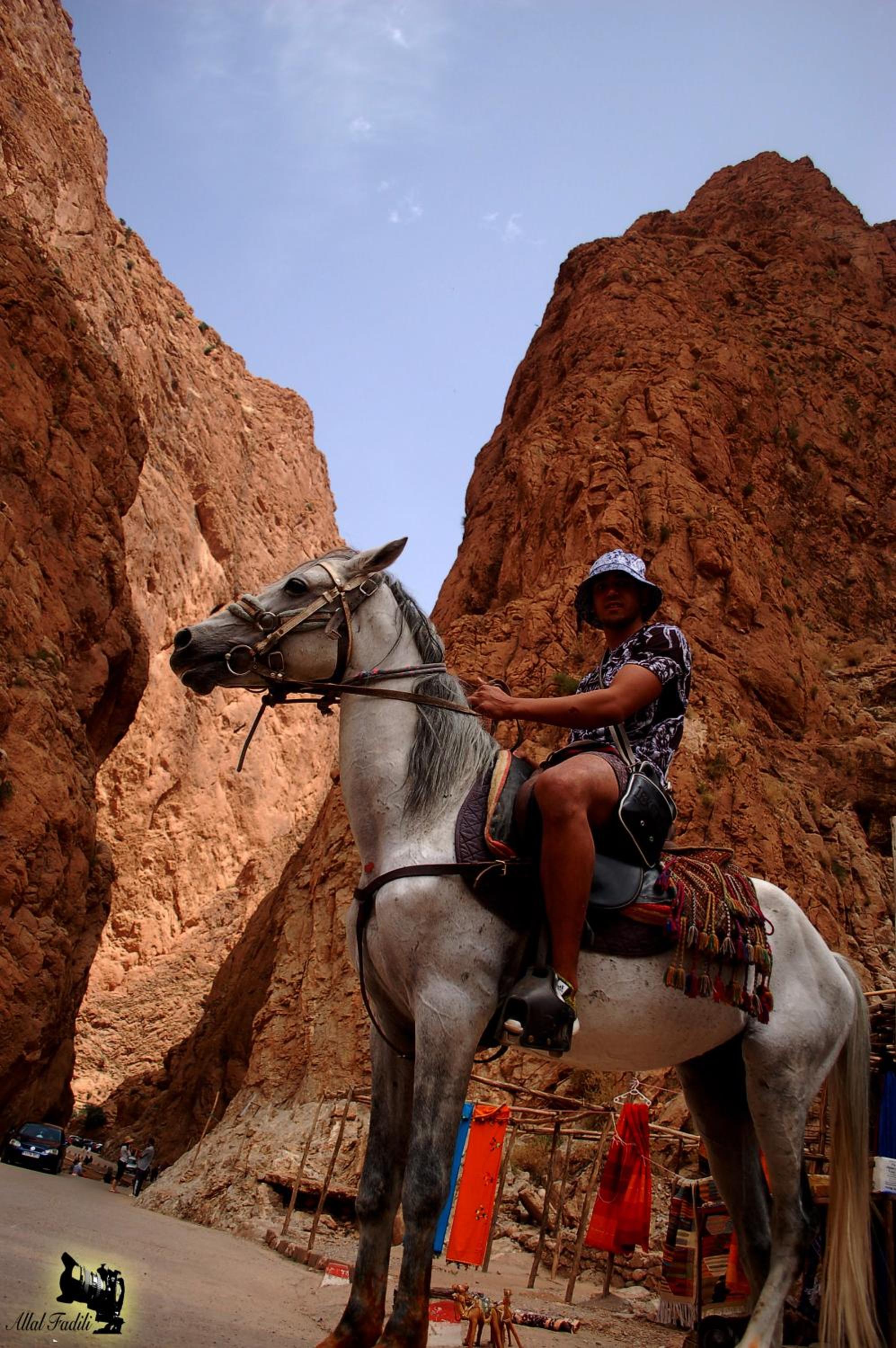 Les Jardins De Todgha gorges de todra tinghir