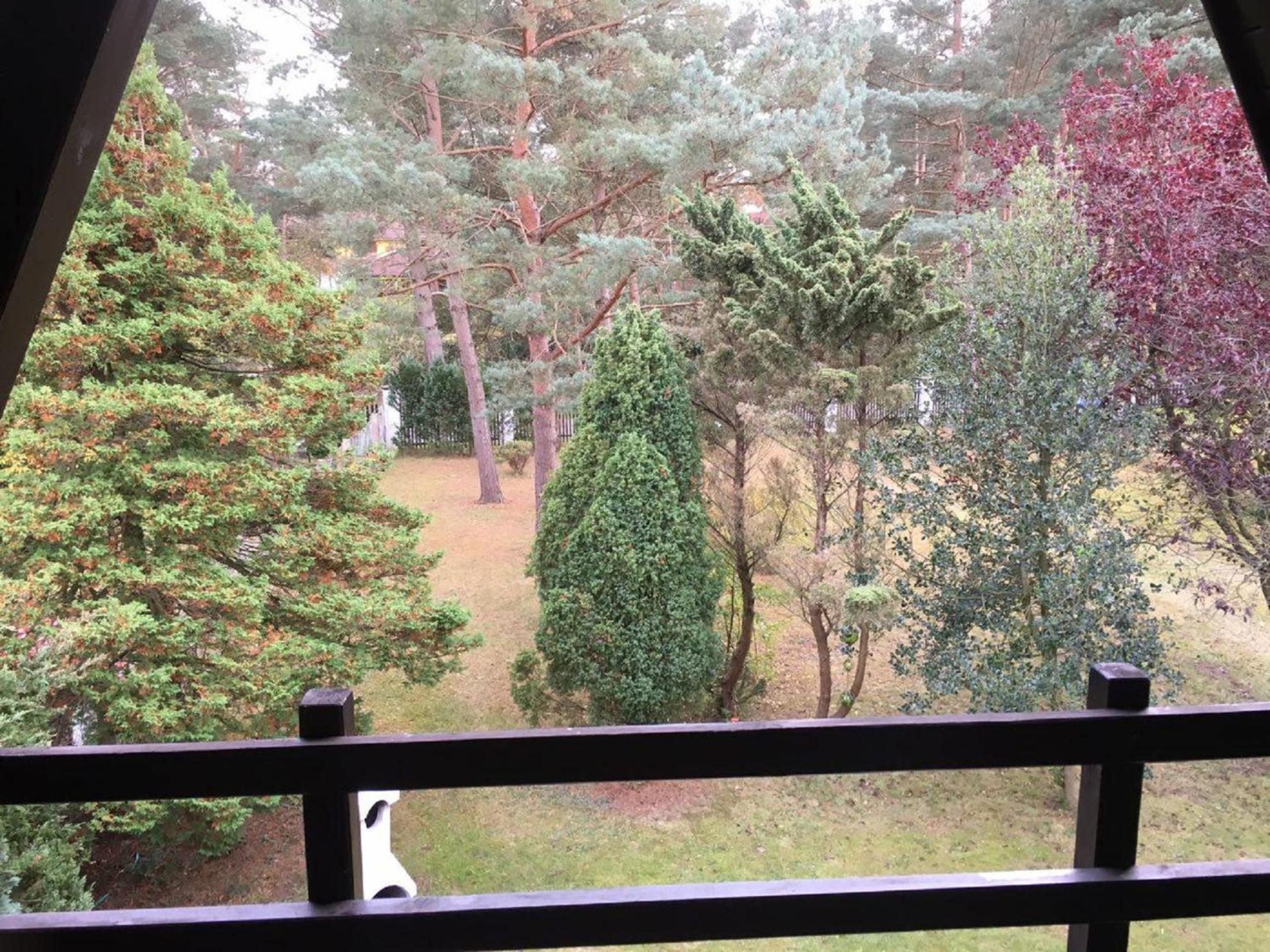Ostsee Ferienhaus Finnhütte