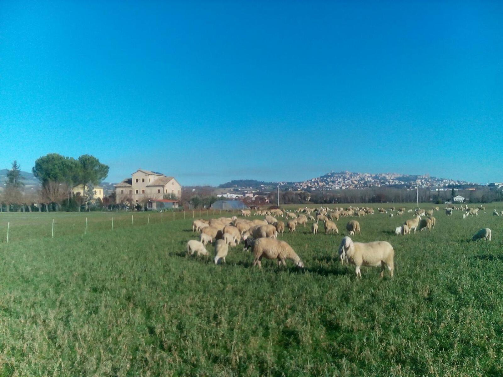 Alla Bigattiera view 5