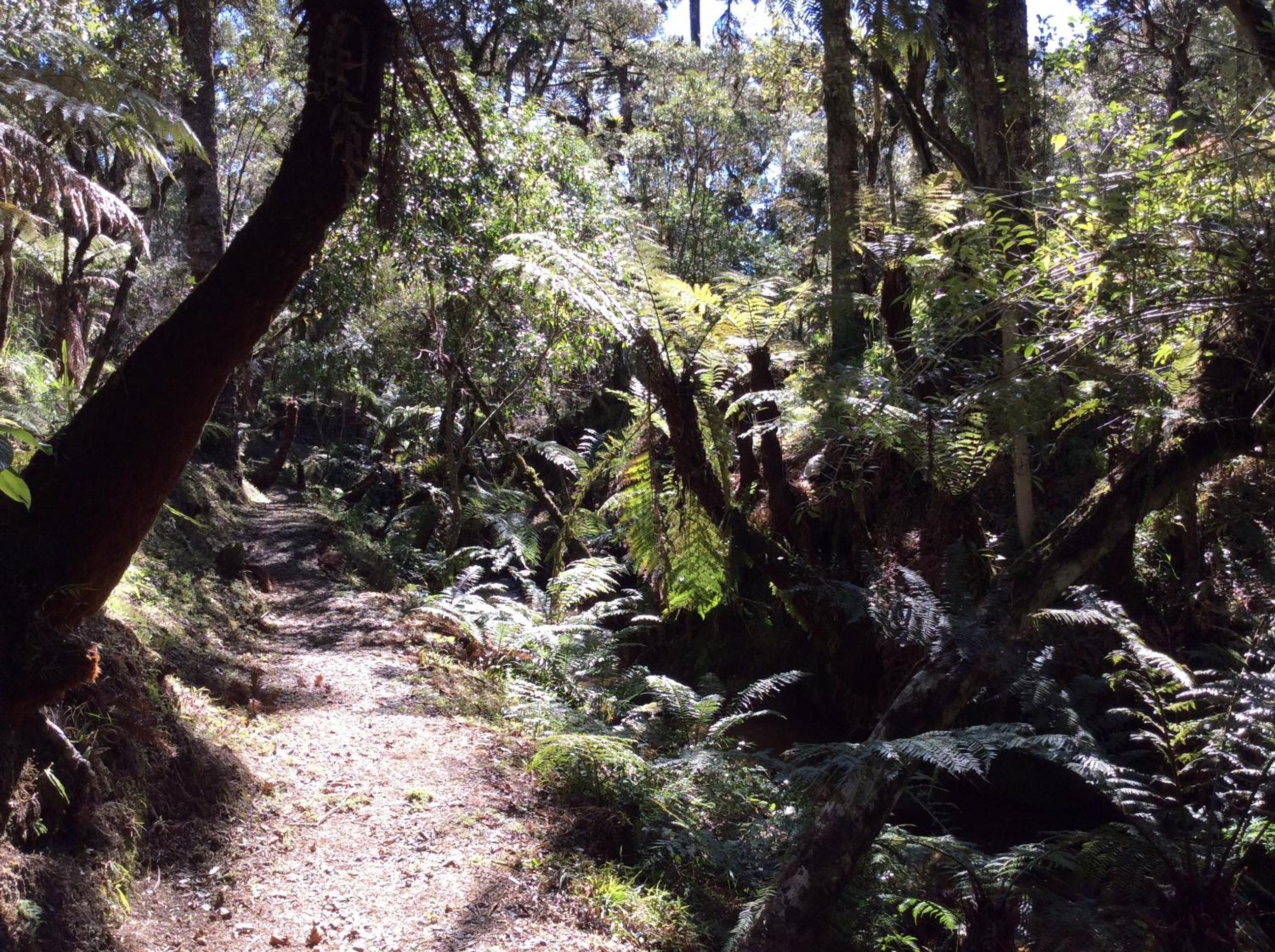 Photo 74