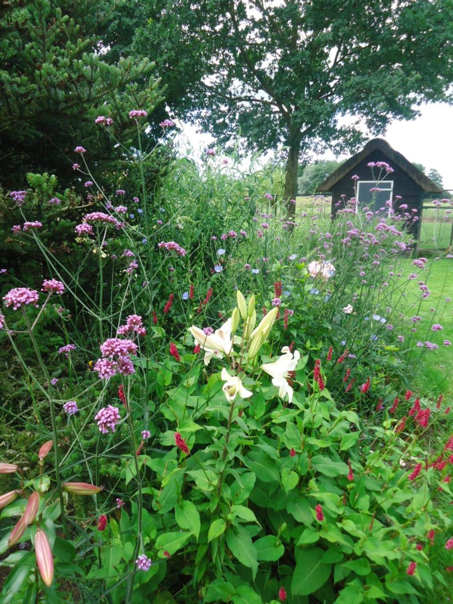 Photo 26