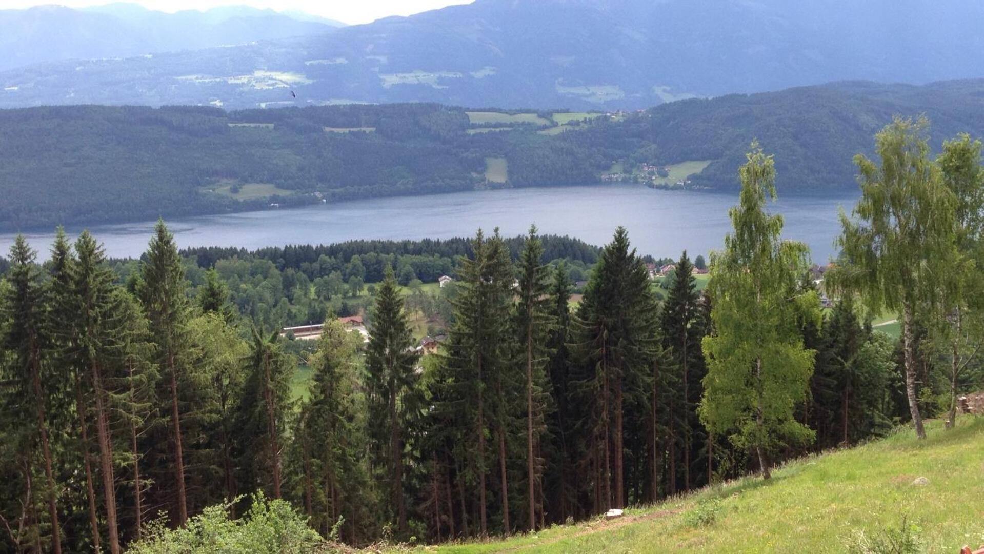 Reinwalds Almhütte