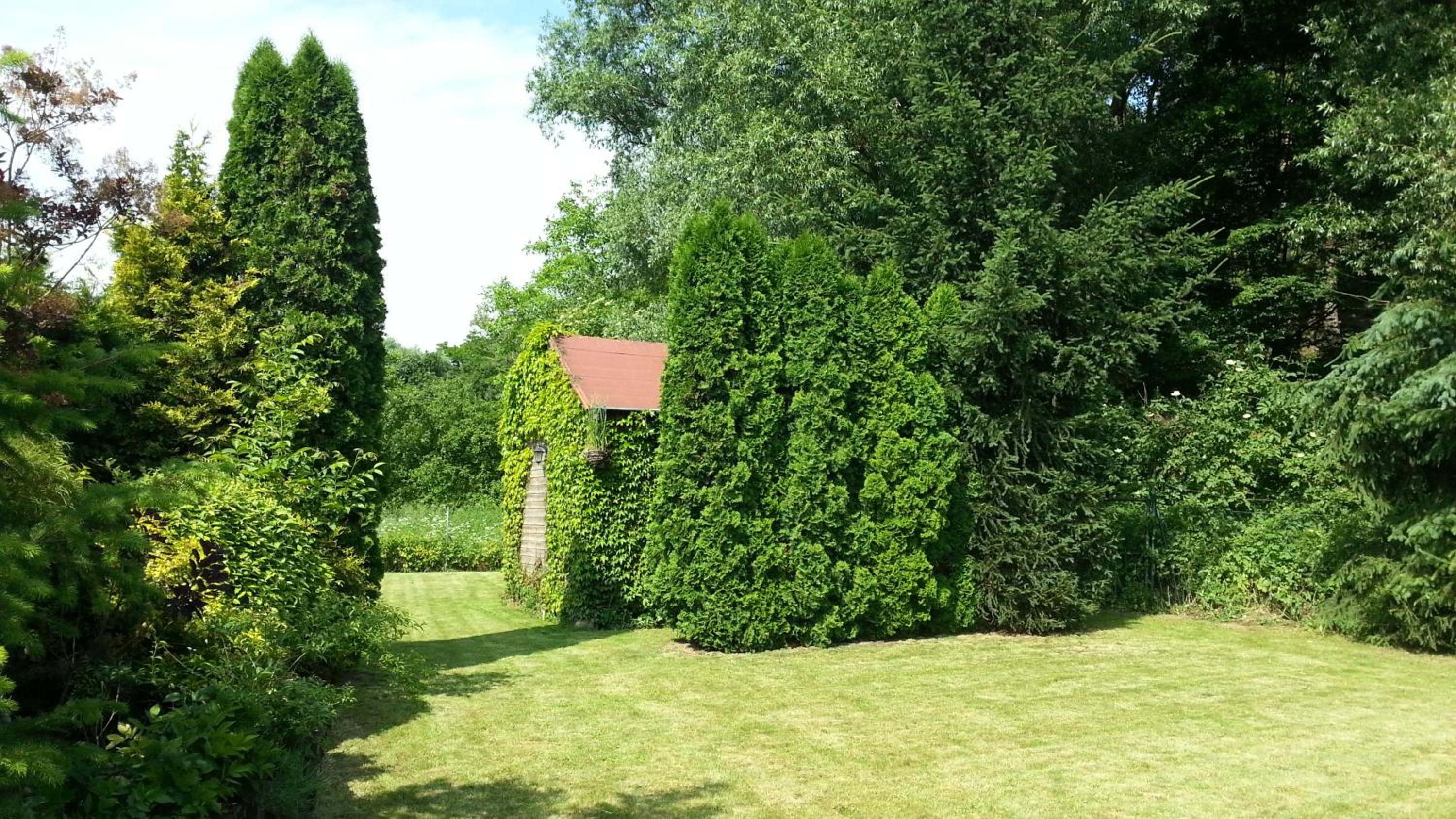 Prázdninový dům u lesa