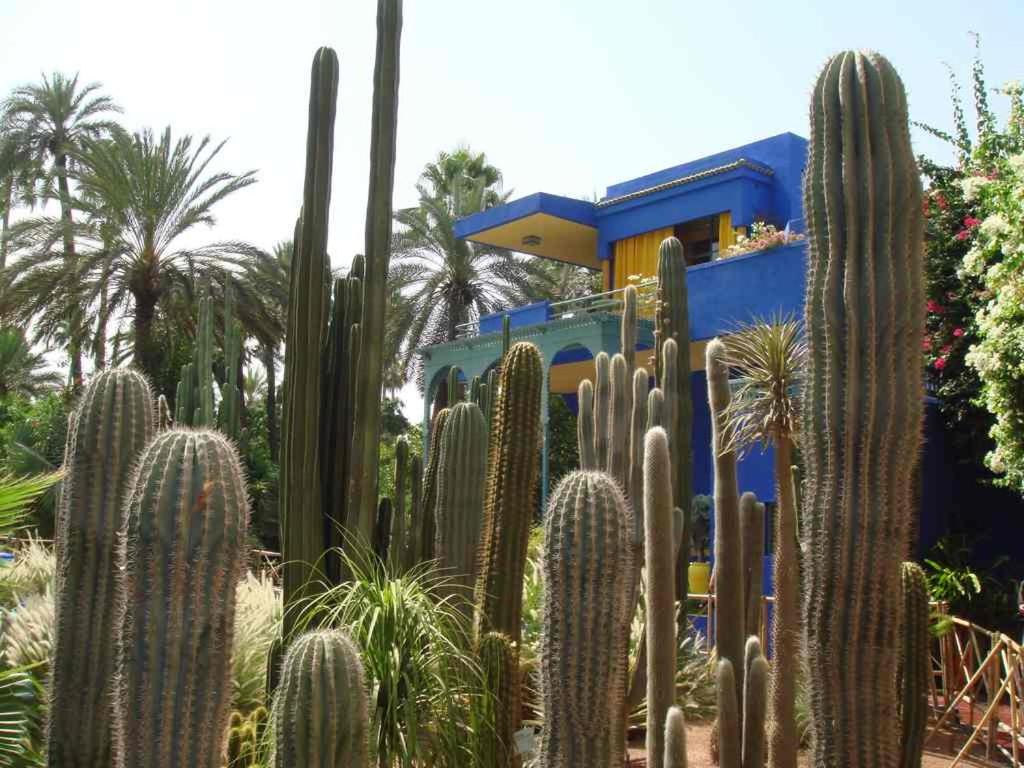 Appart avec vue Jardin/Majorelle