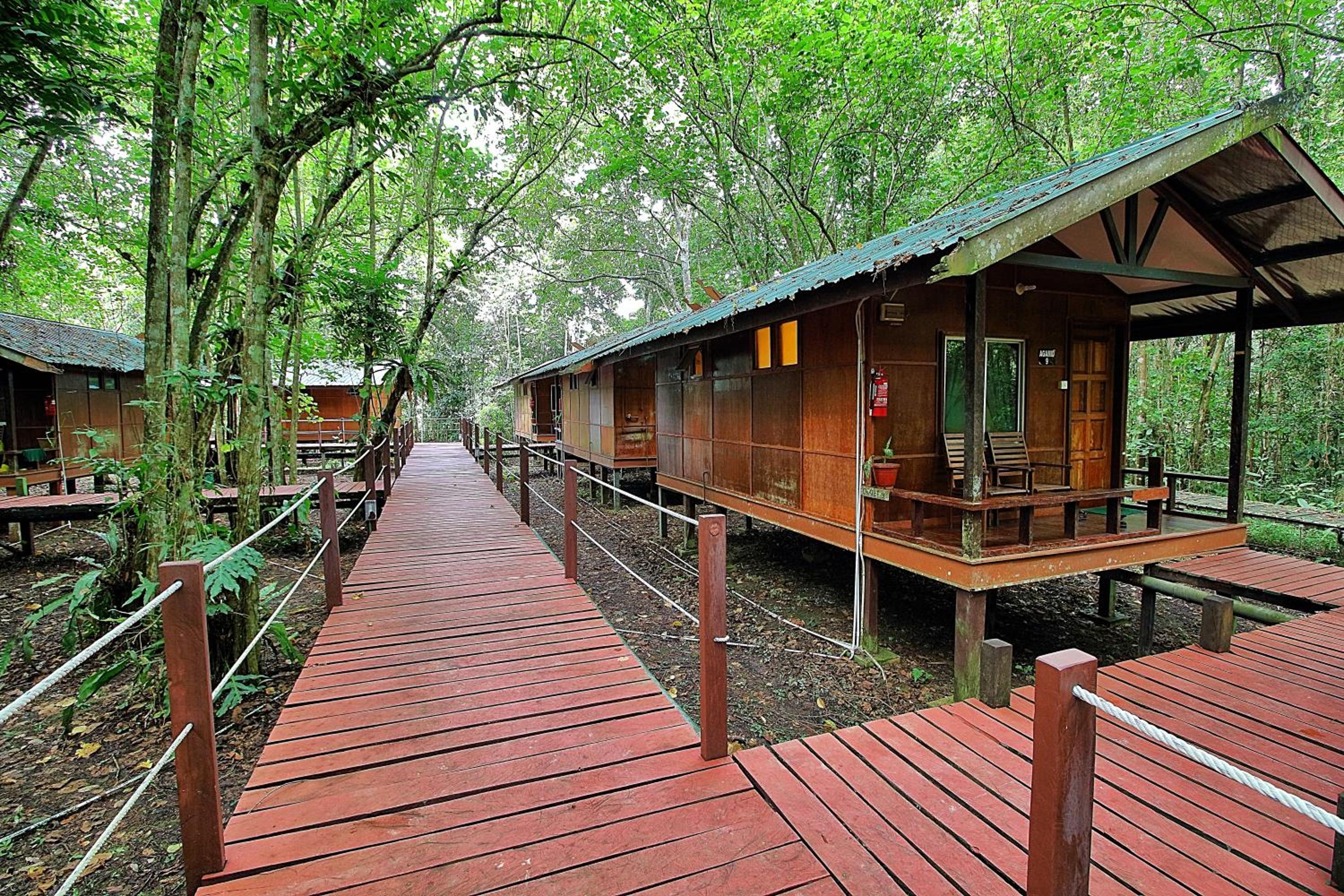 Tanini Kinabatangan Formerly known as Nature Lodge Kinabatangan photo 6