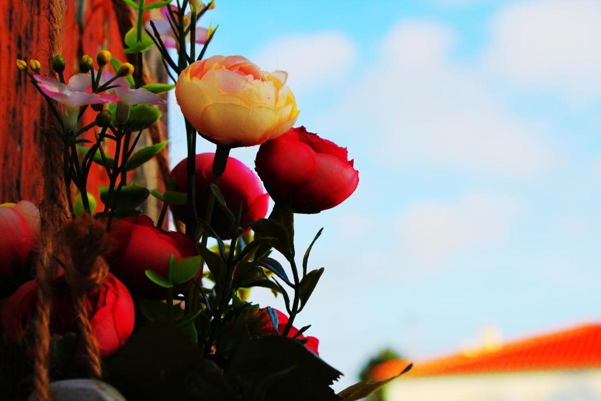 Photo 48