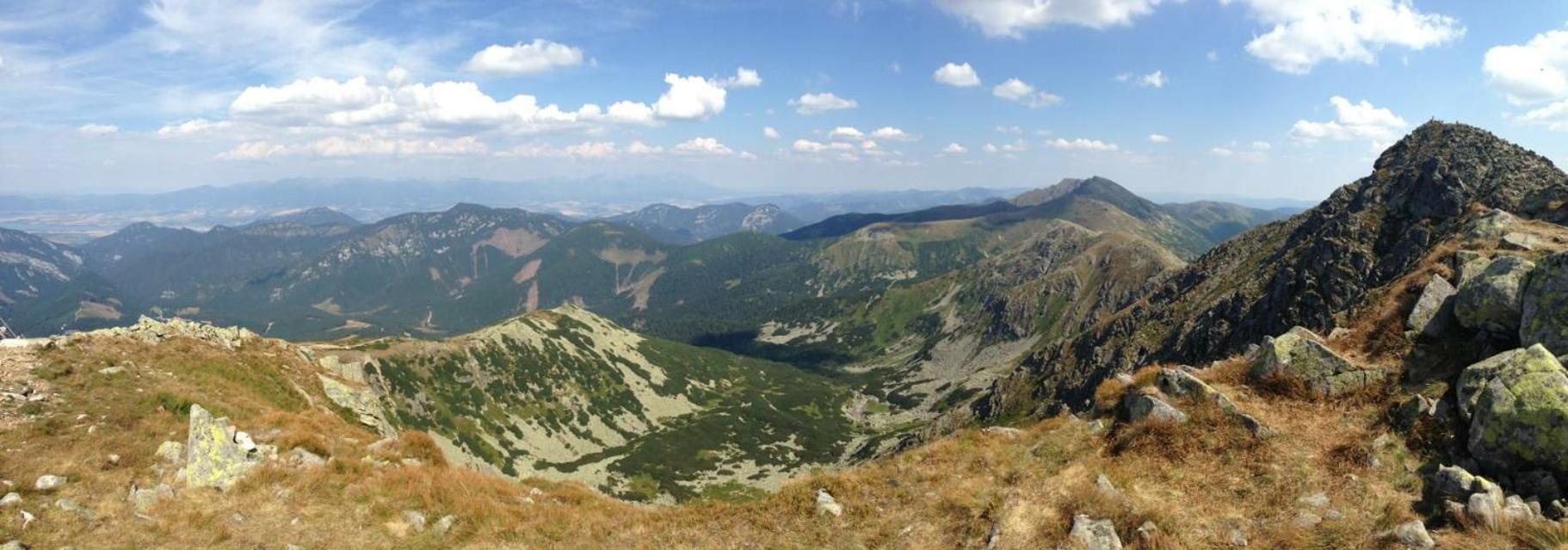 Photo 40