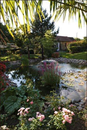 garden