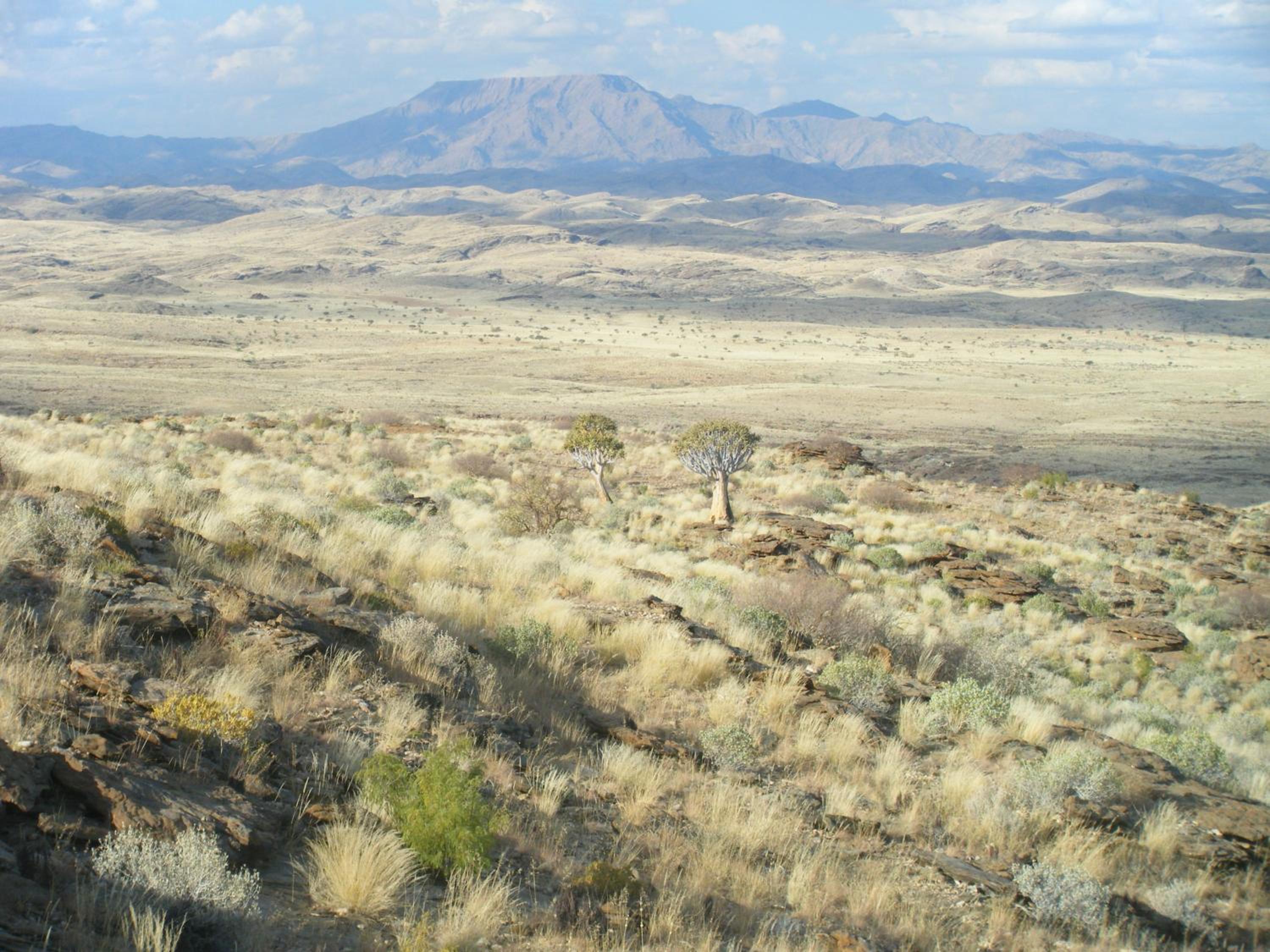 Namibs Valley Lodge