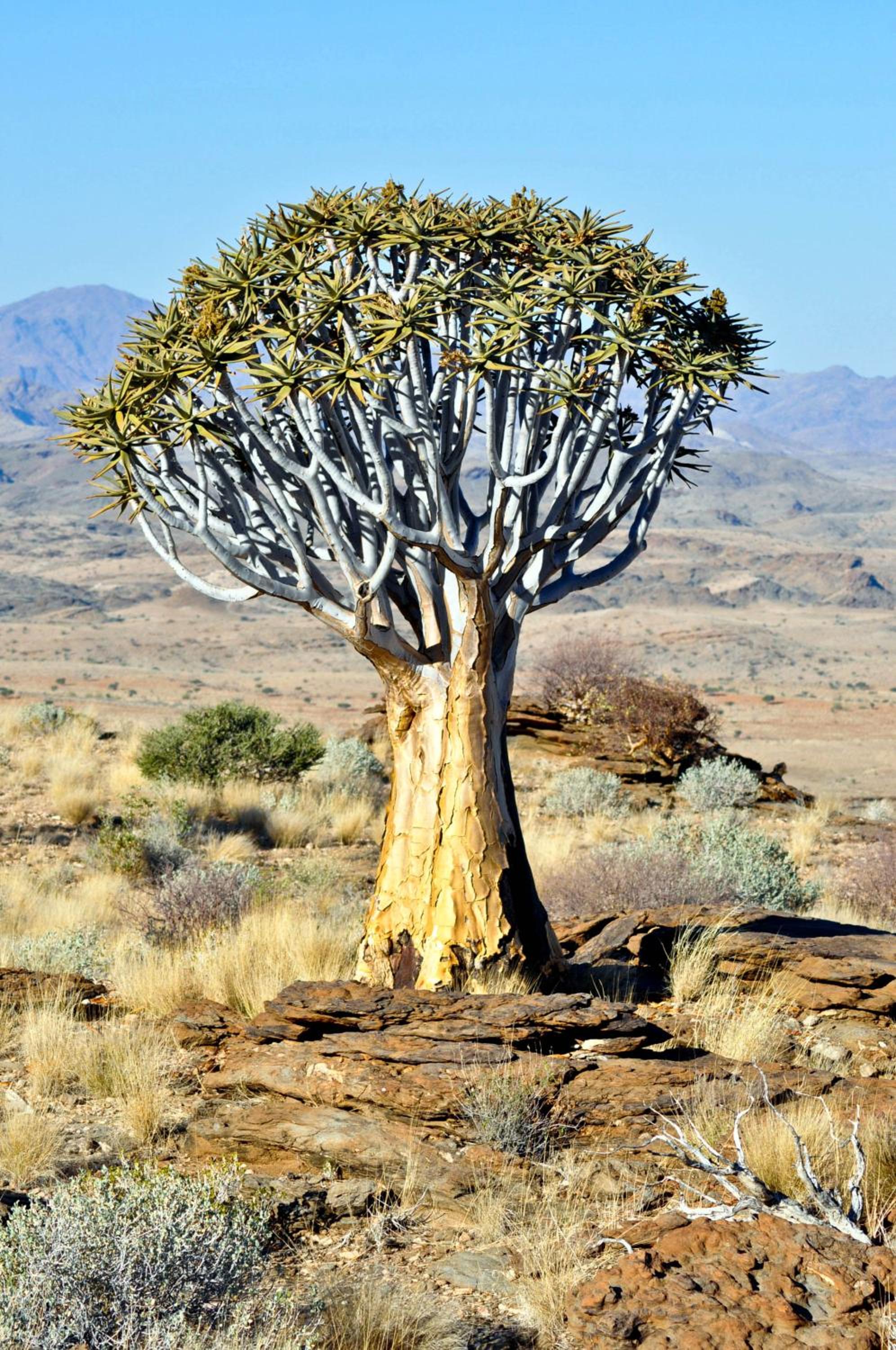 Namibs Valley Lodge