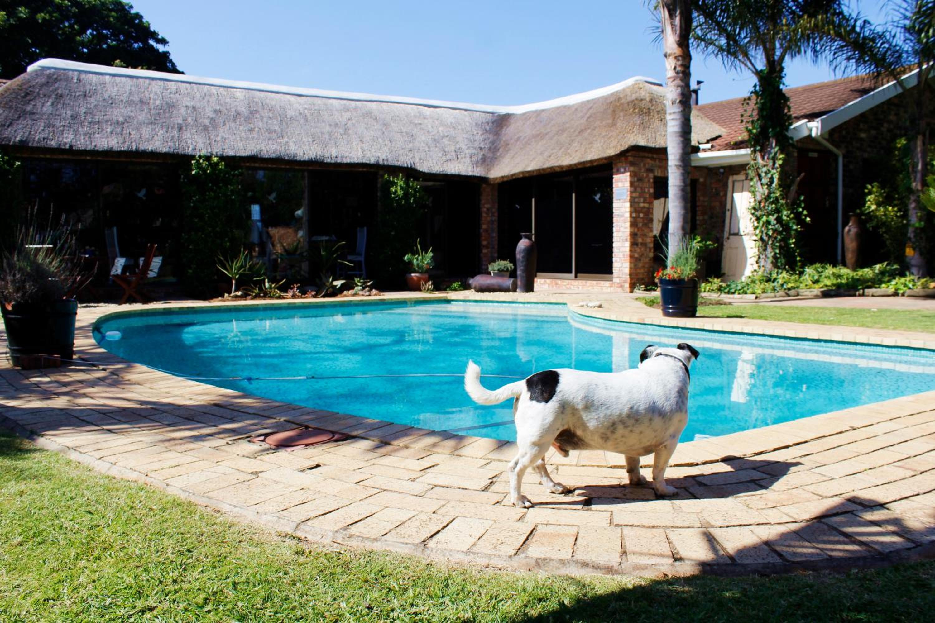 Amani Guest Lodge