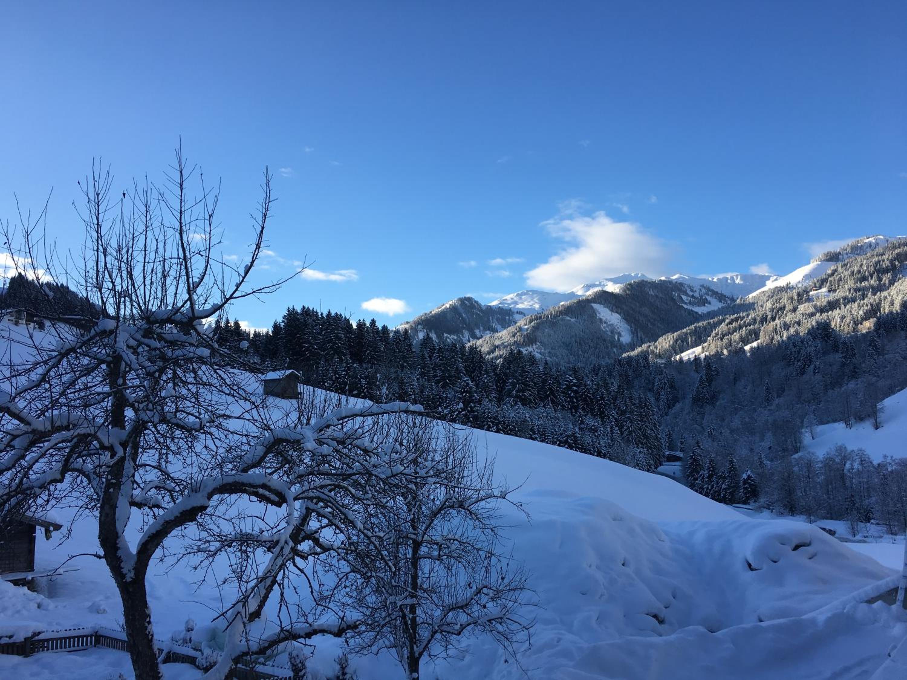 Beim Rohrer