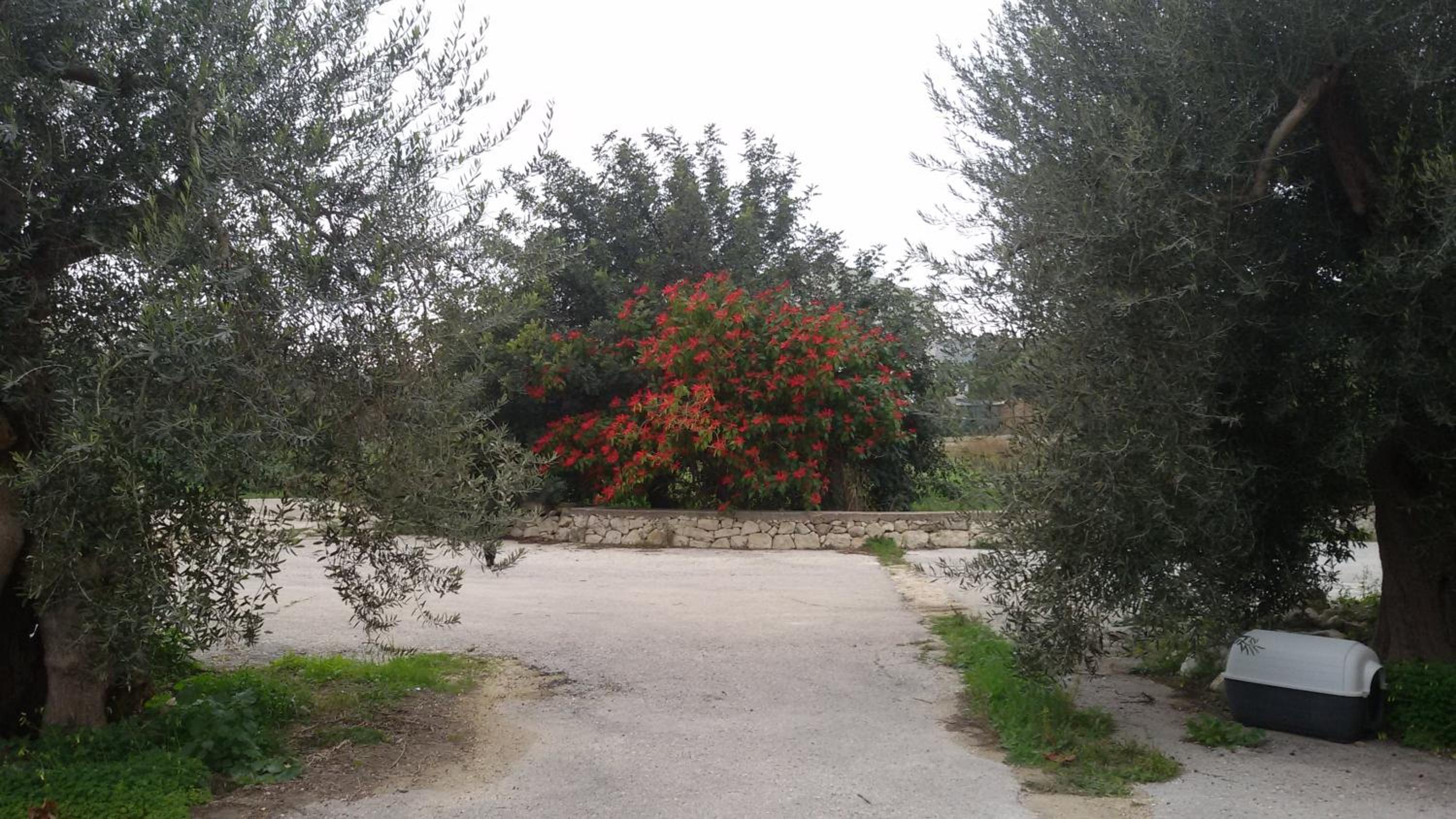 Dimore del Carrubo Nord