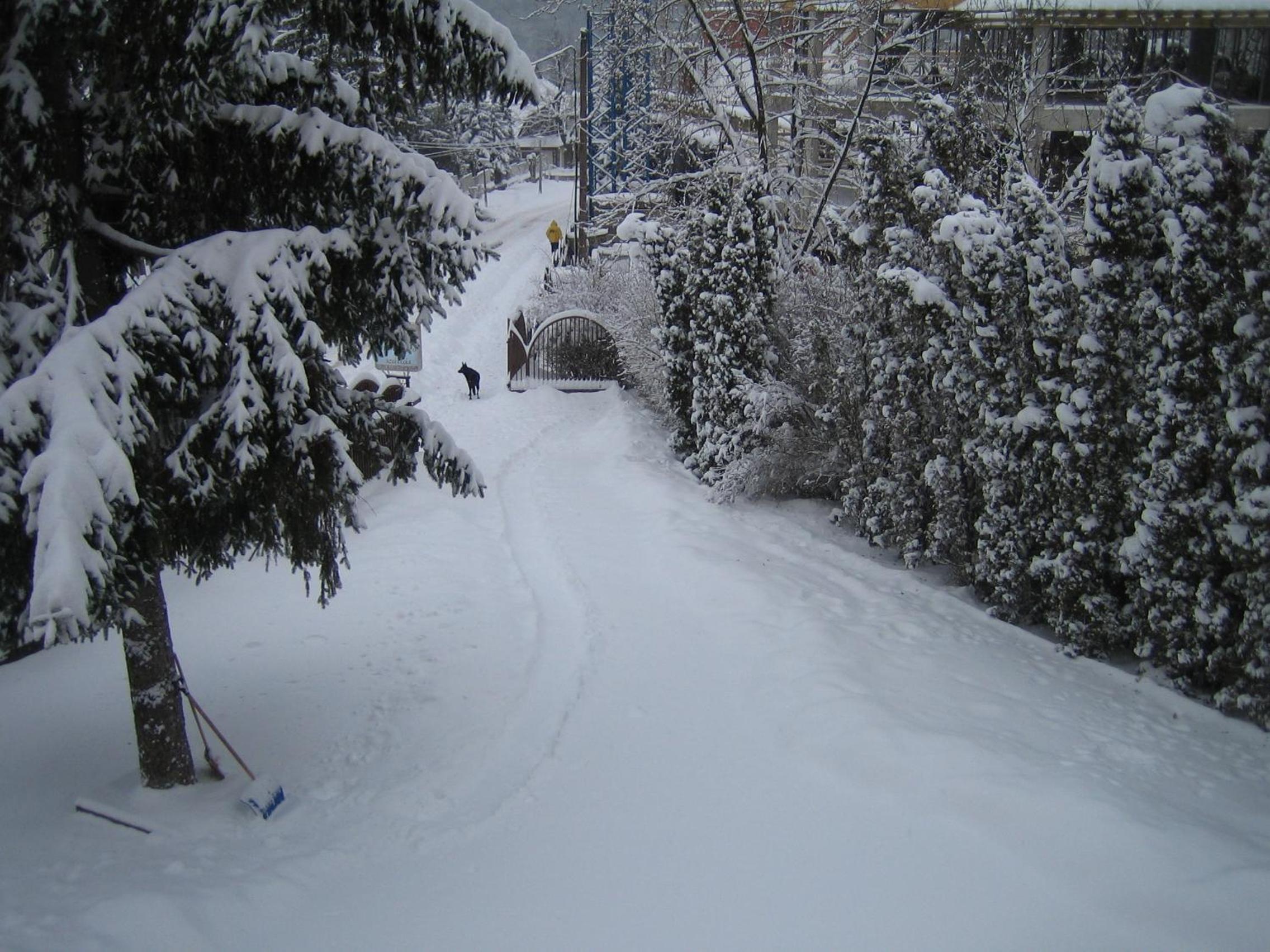 Photo 44