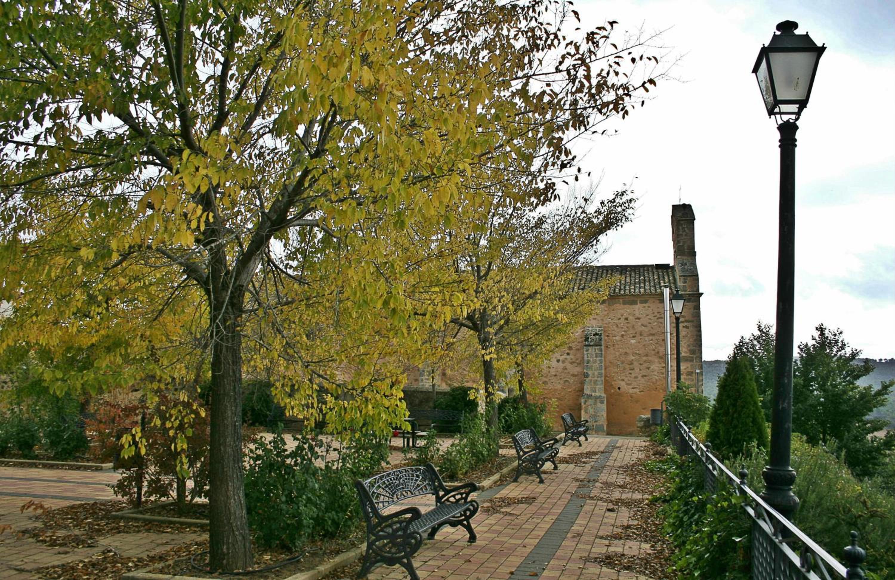 Photo 25