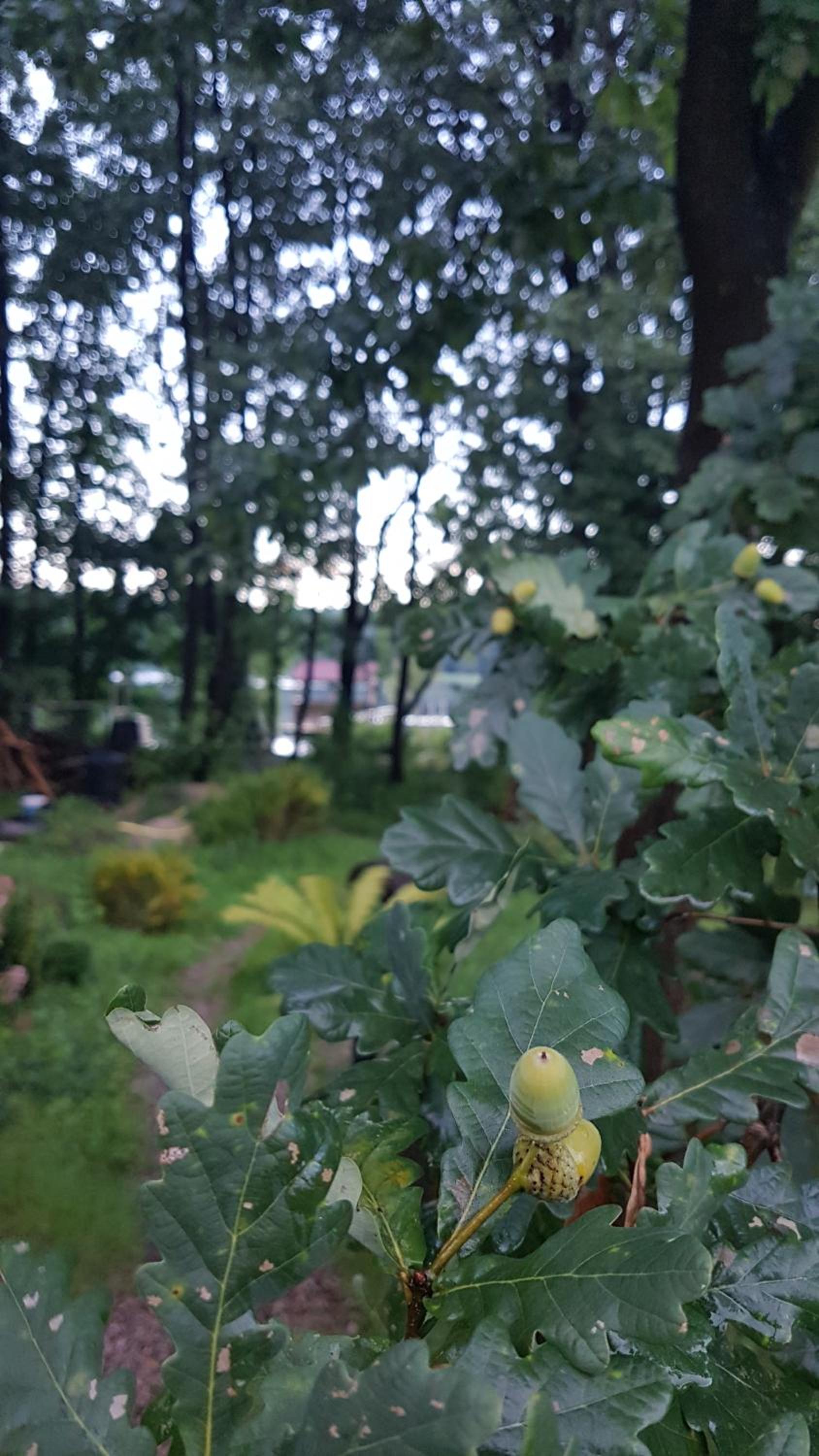 Photo 47