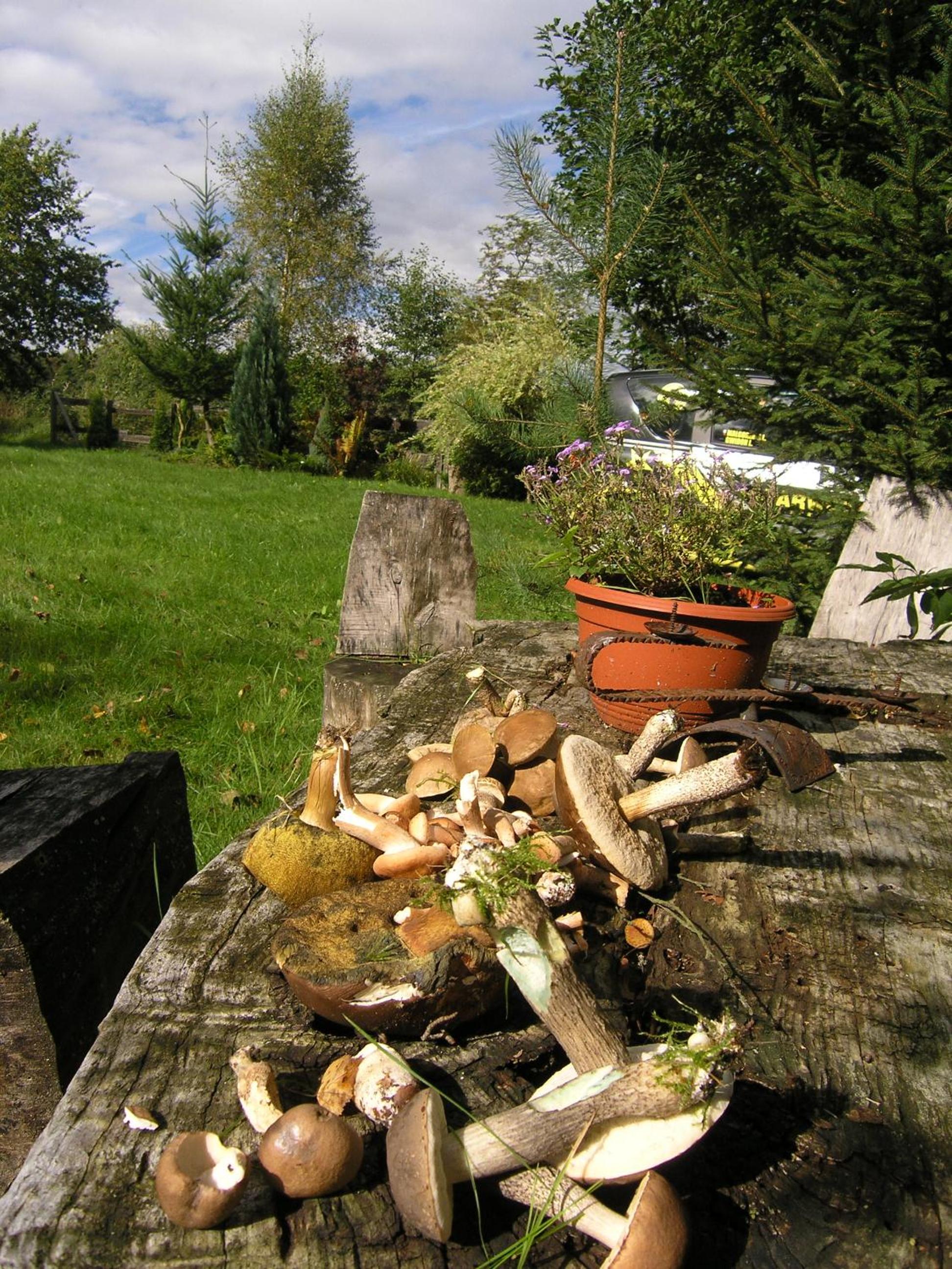 Photo 49