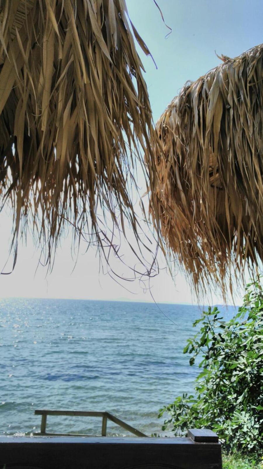 Alex Beach Apartment