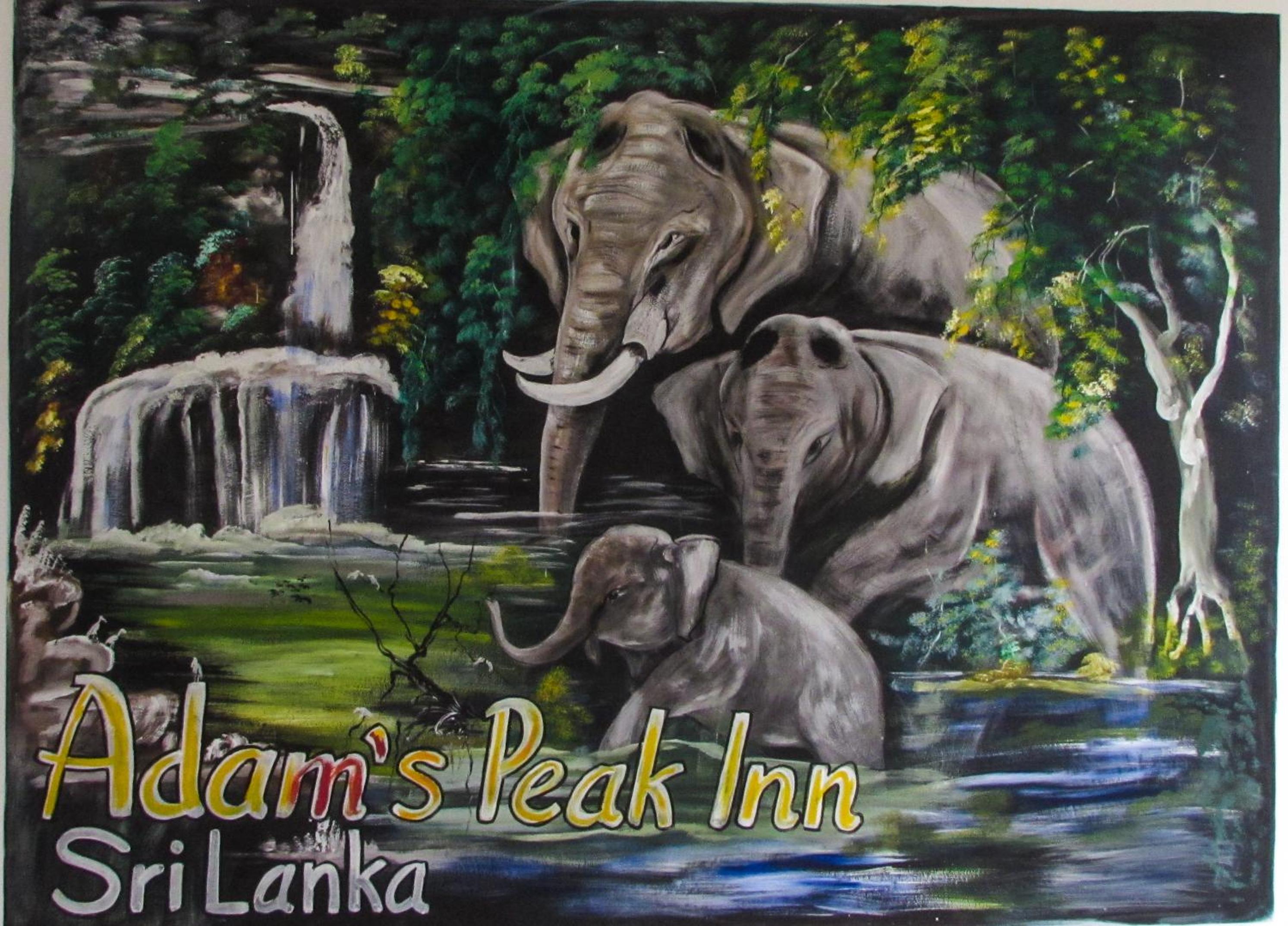 Adams Peak Inn