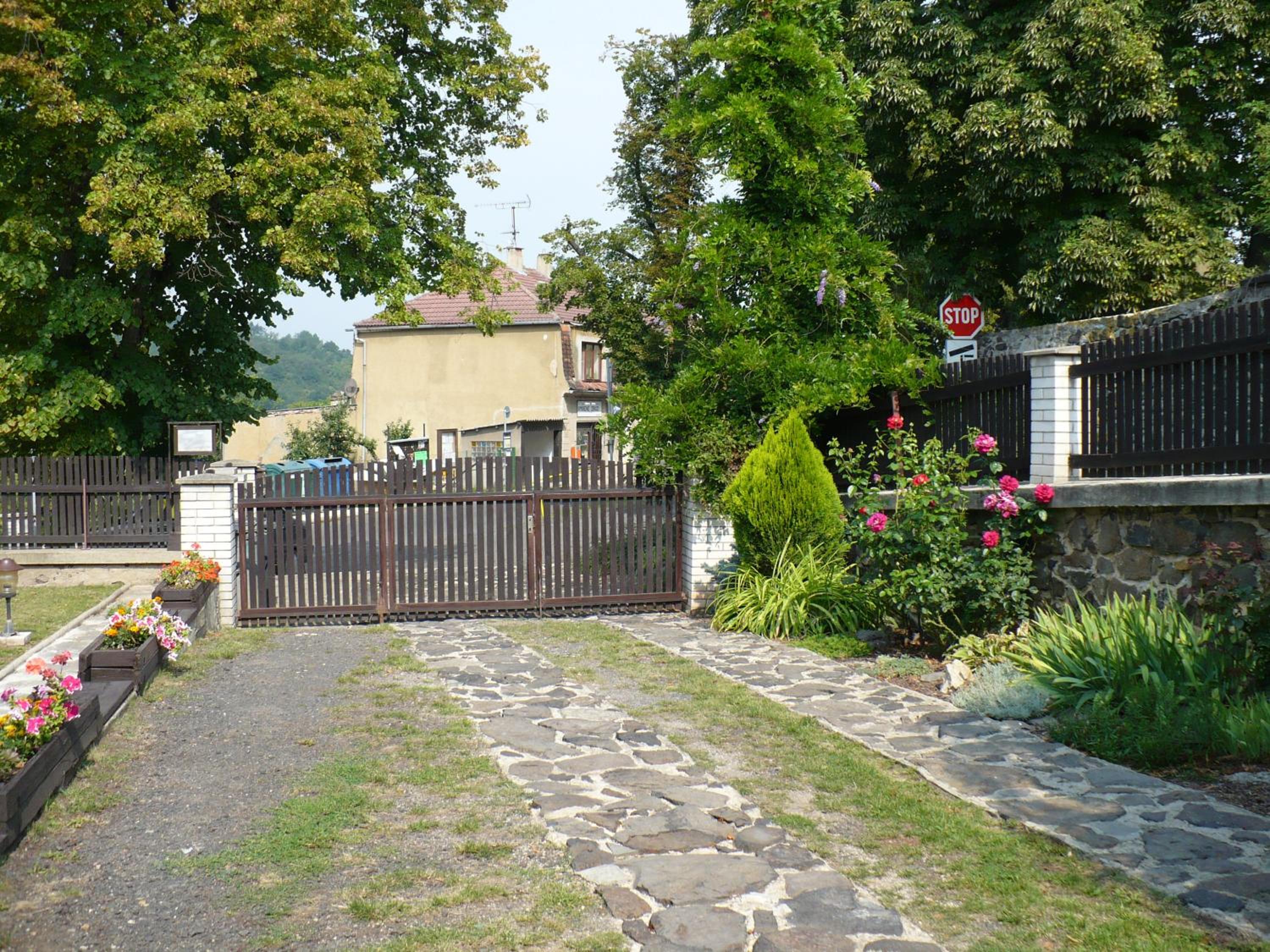 Photo 51