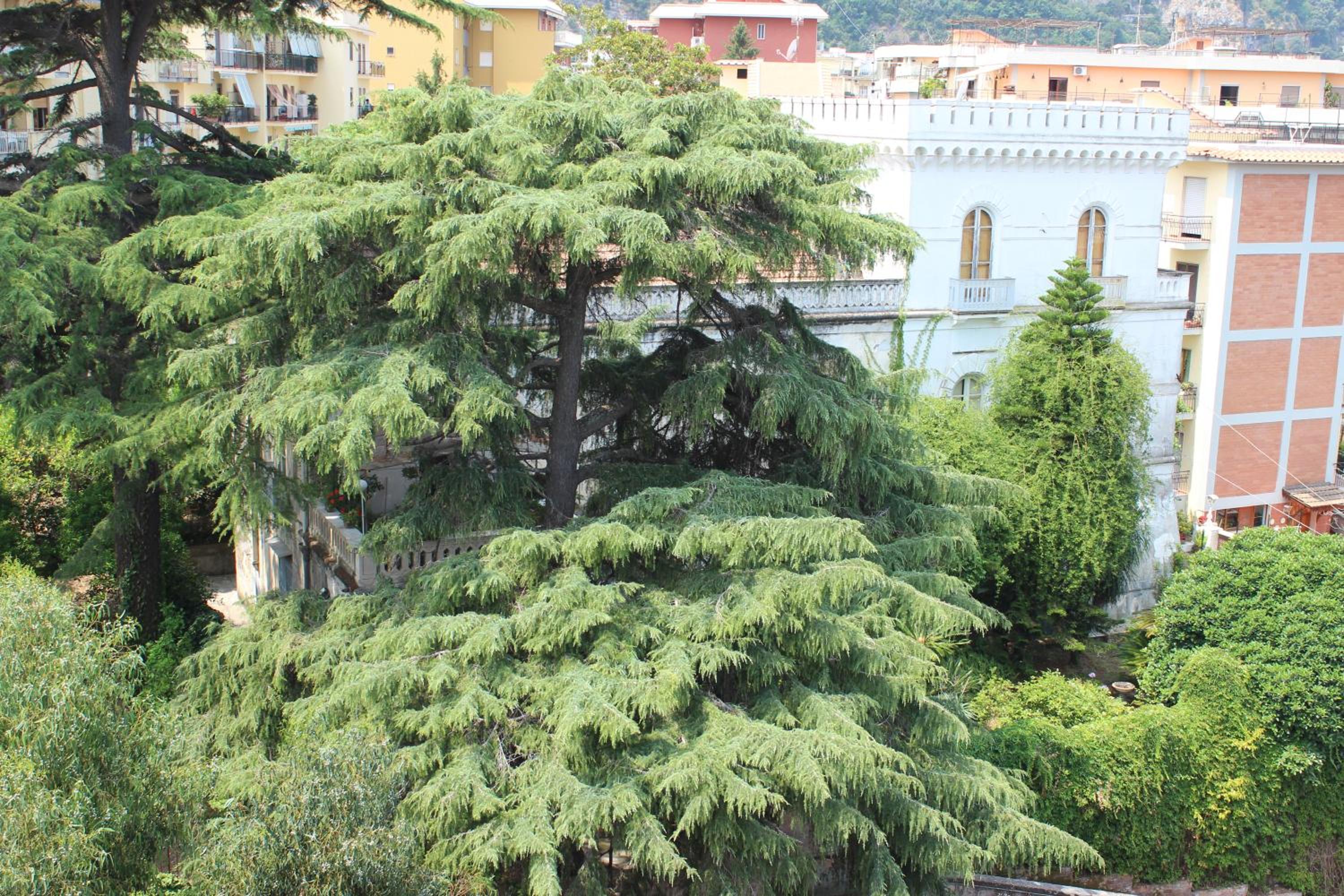 Villa Manning Relais