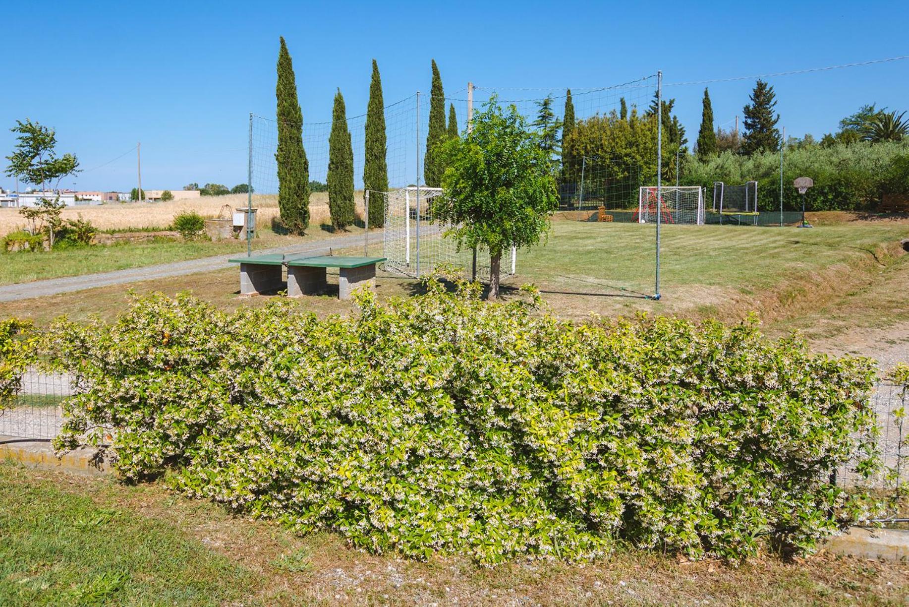 activities & amenities
