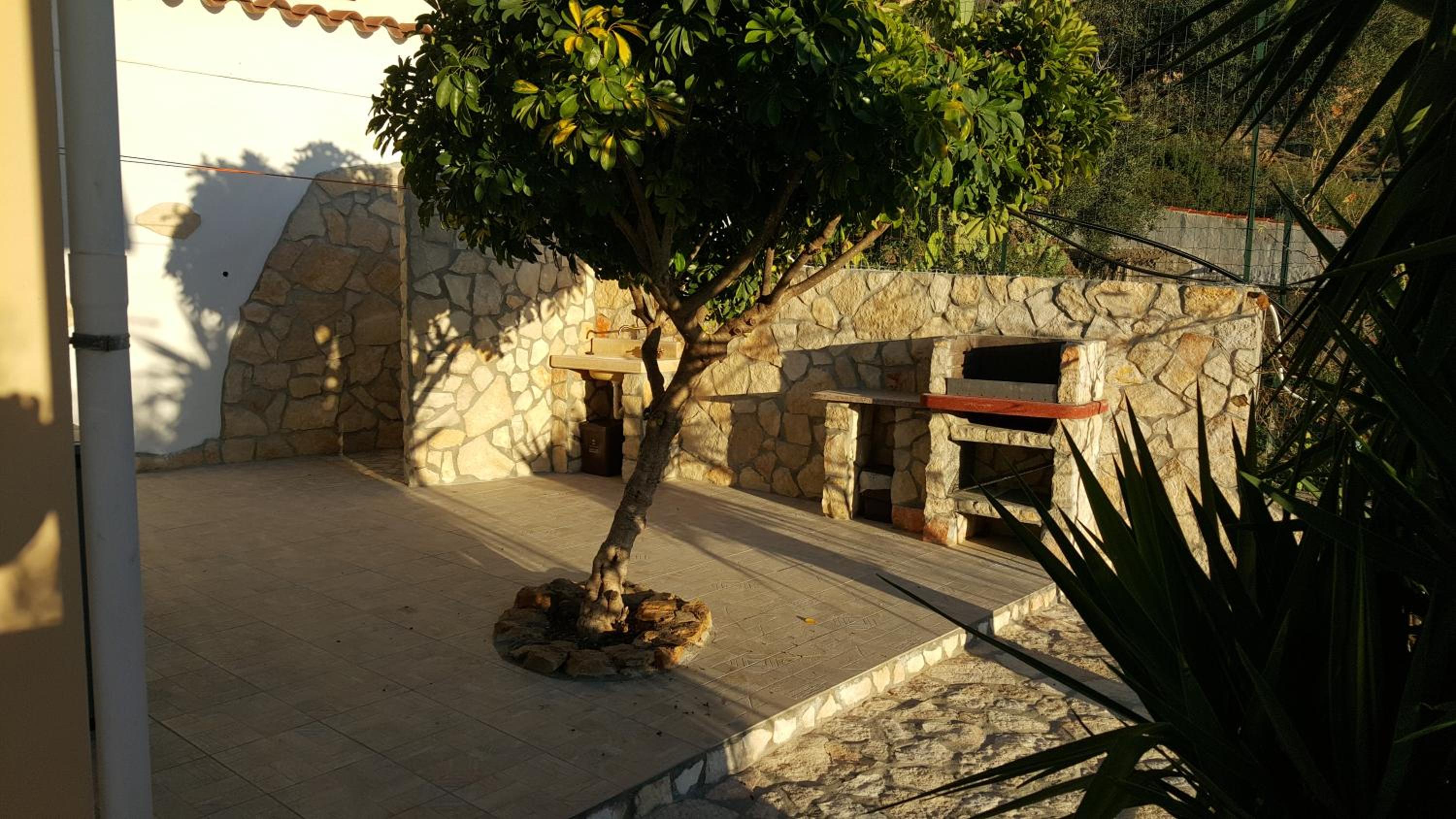 Photo 41