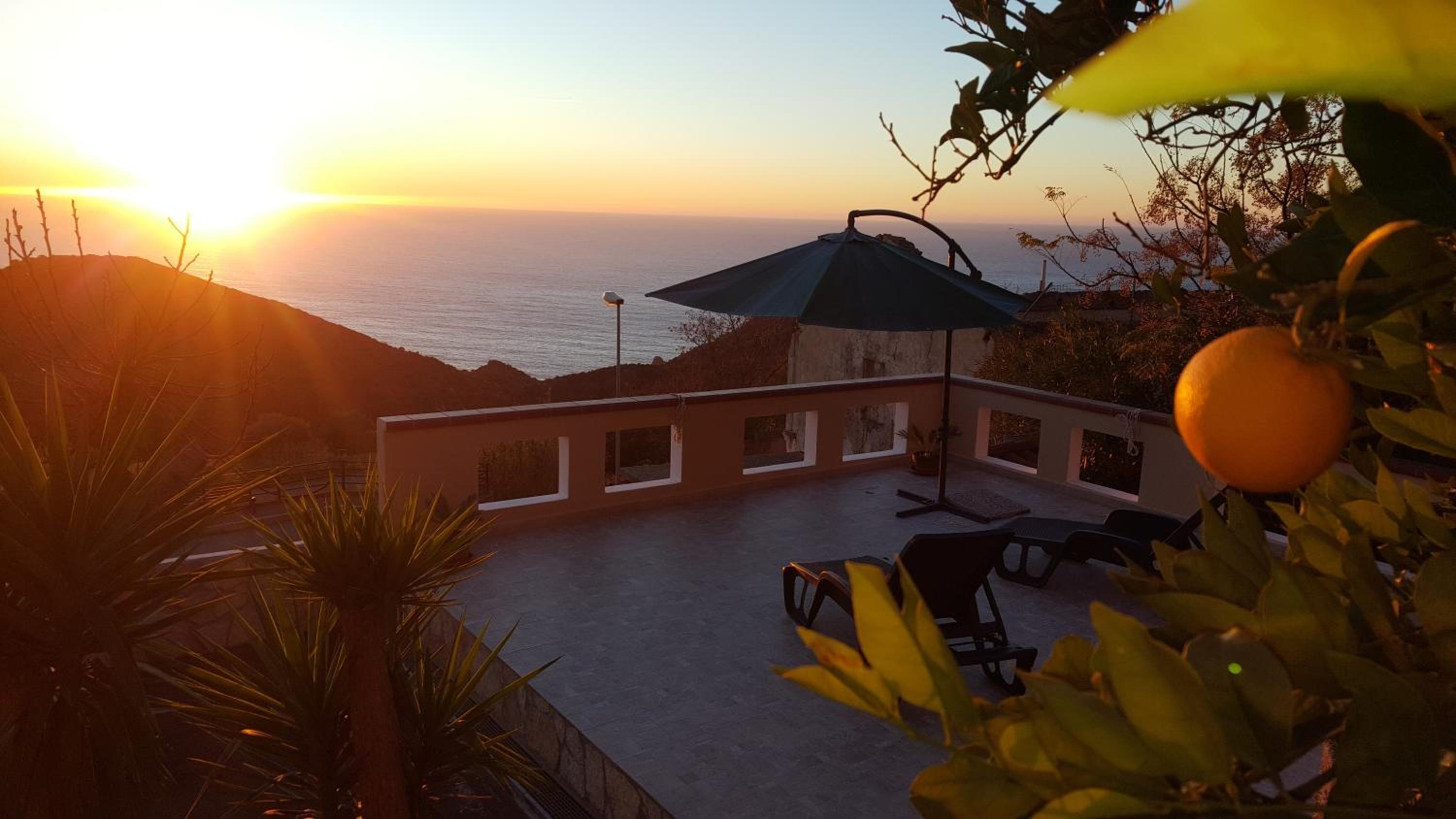 Punta Speranza view 4