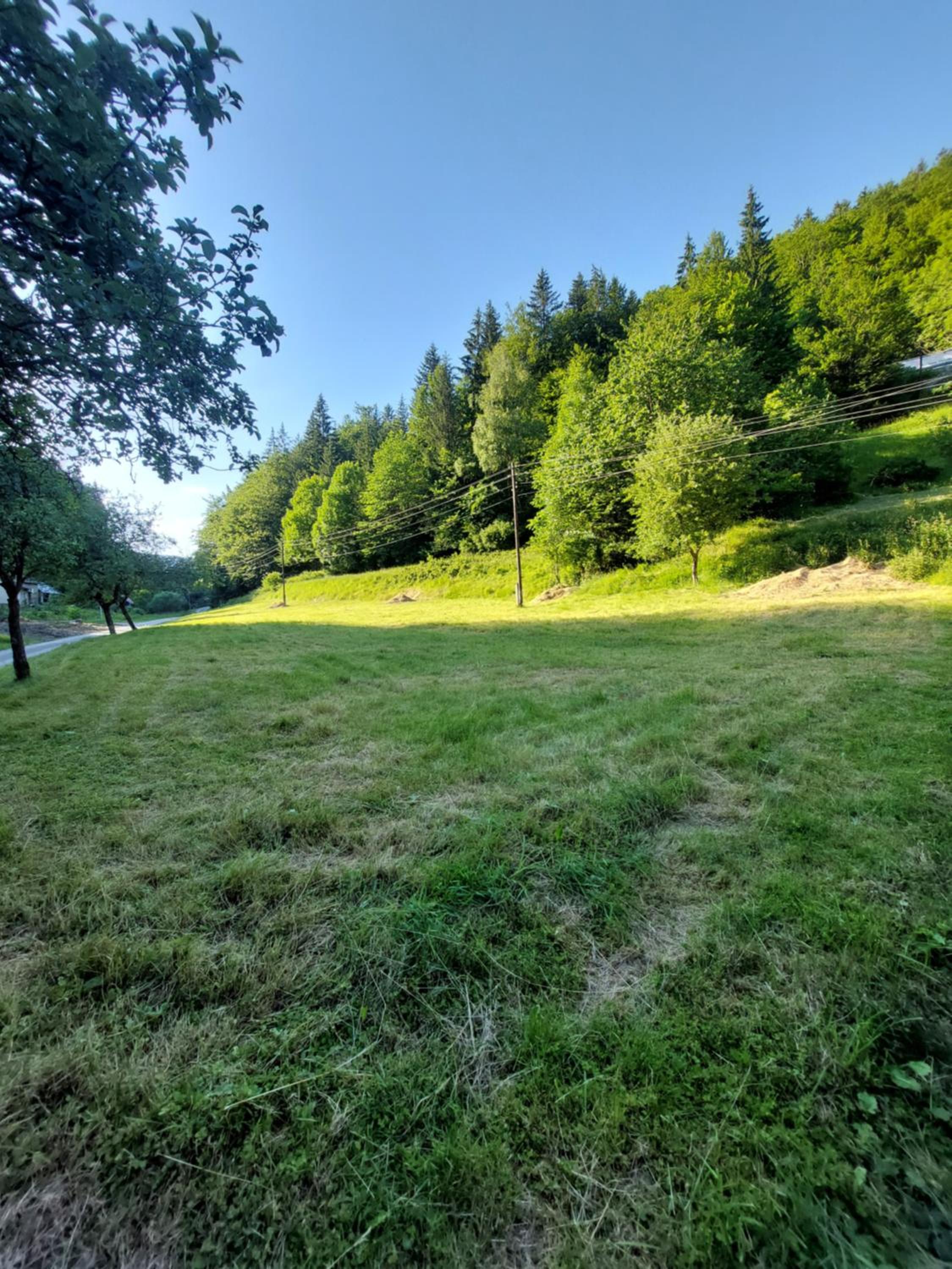 Only Meadow
