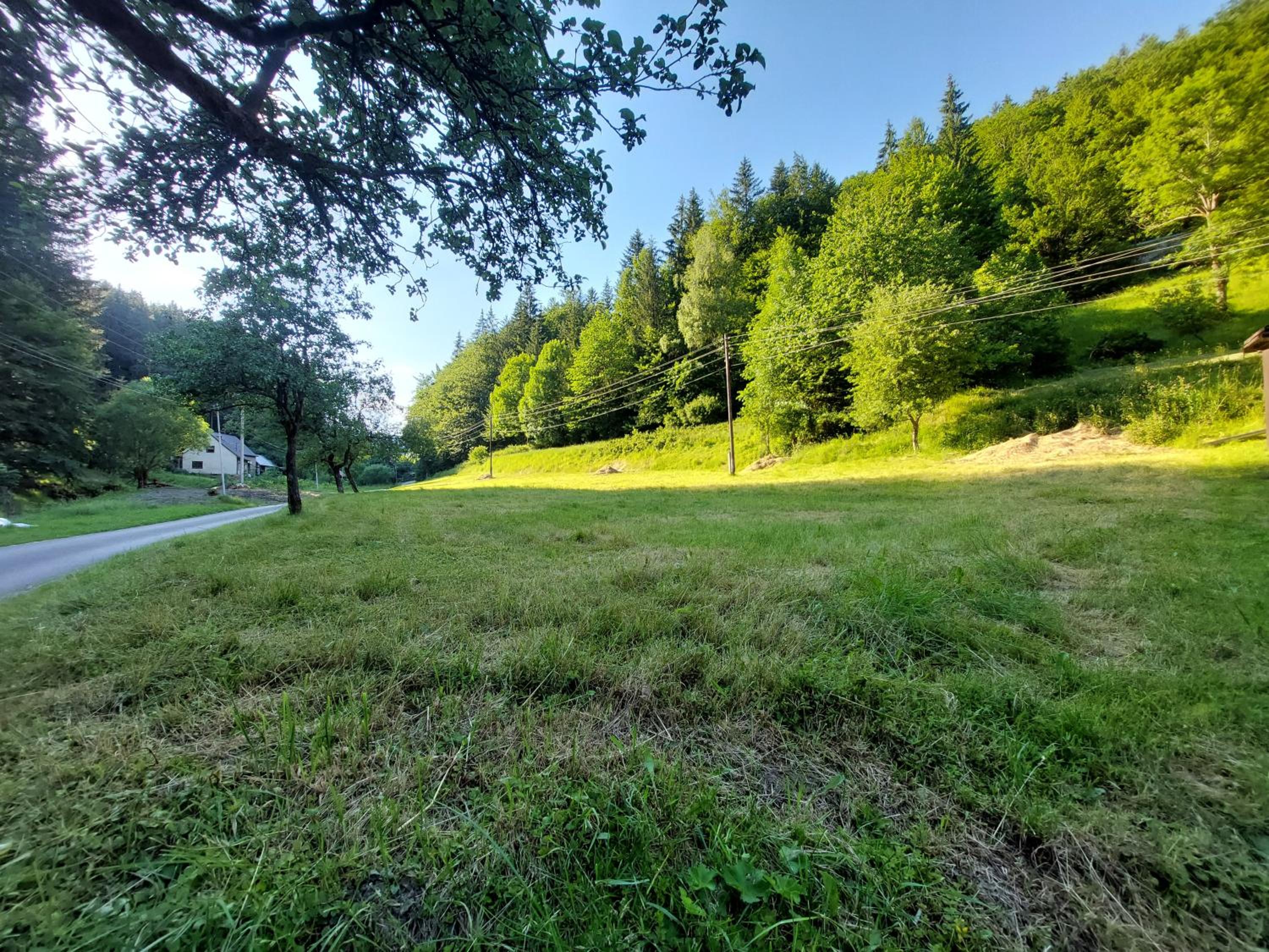 Only Meadow
