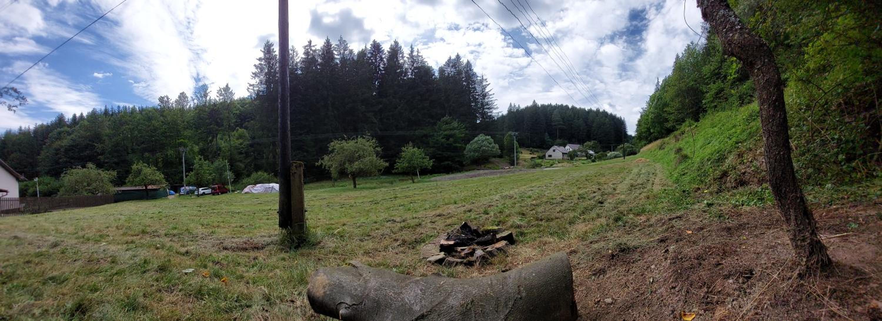 Only Meadow