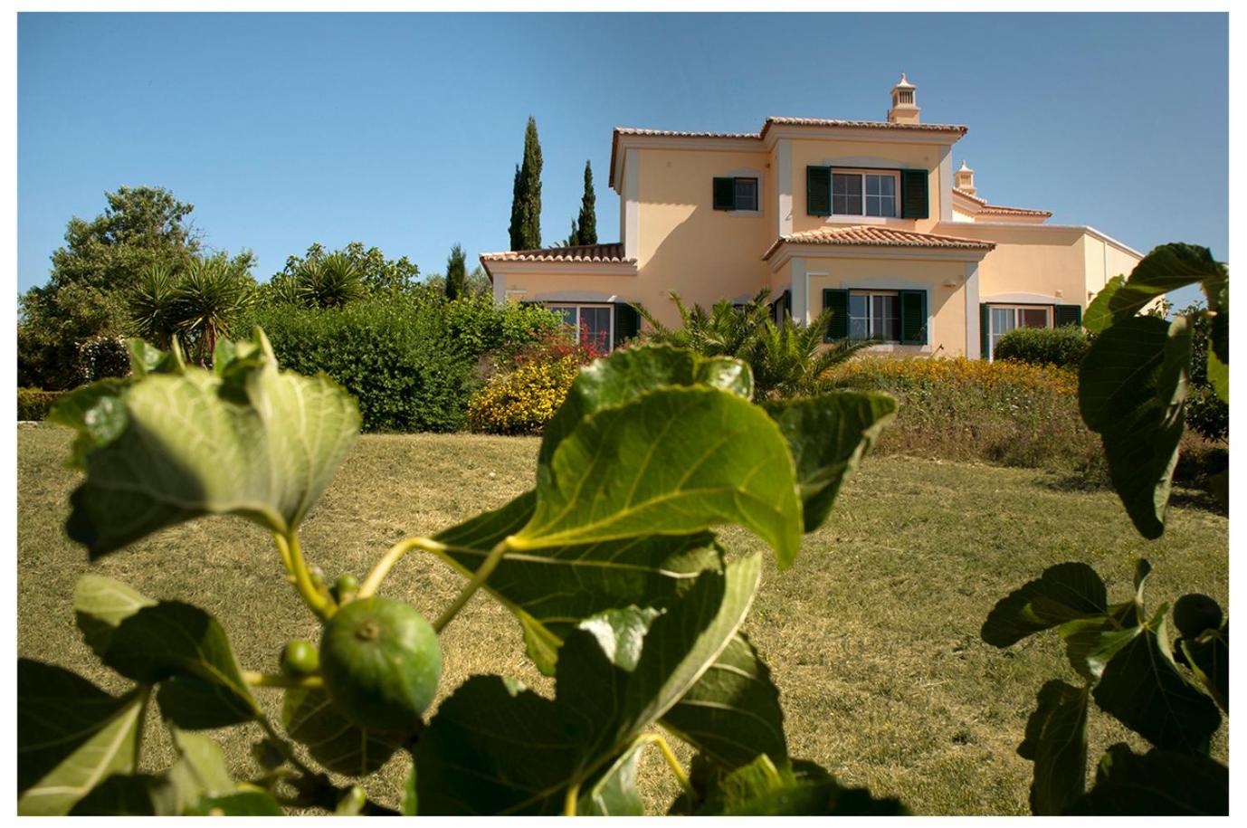 Quinta do Sotavento view 2