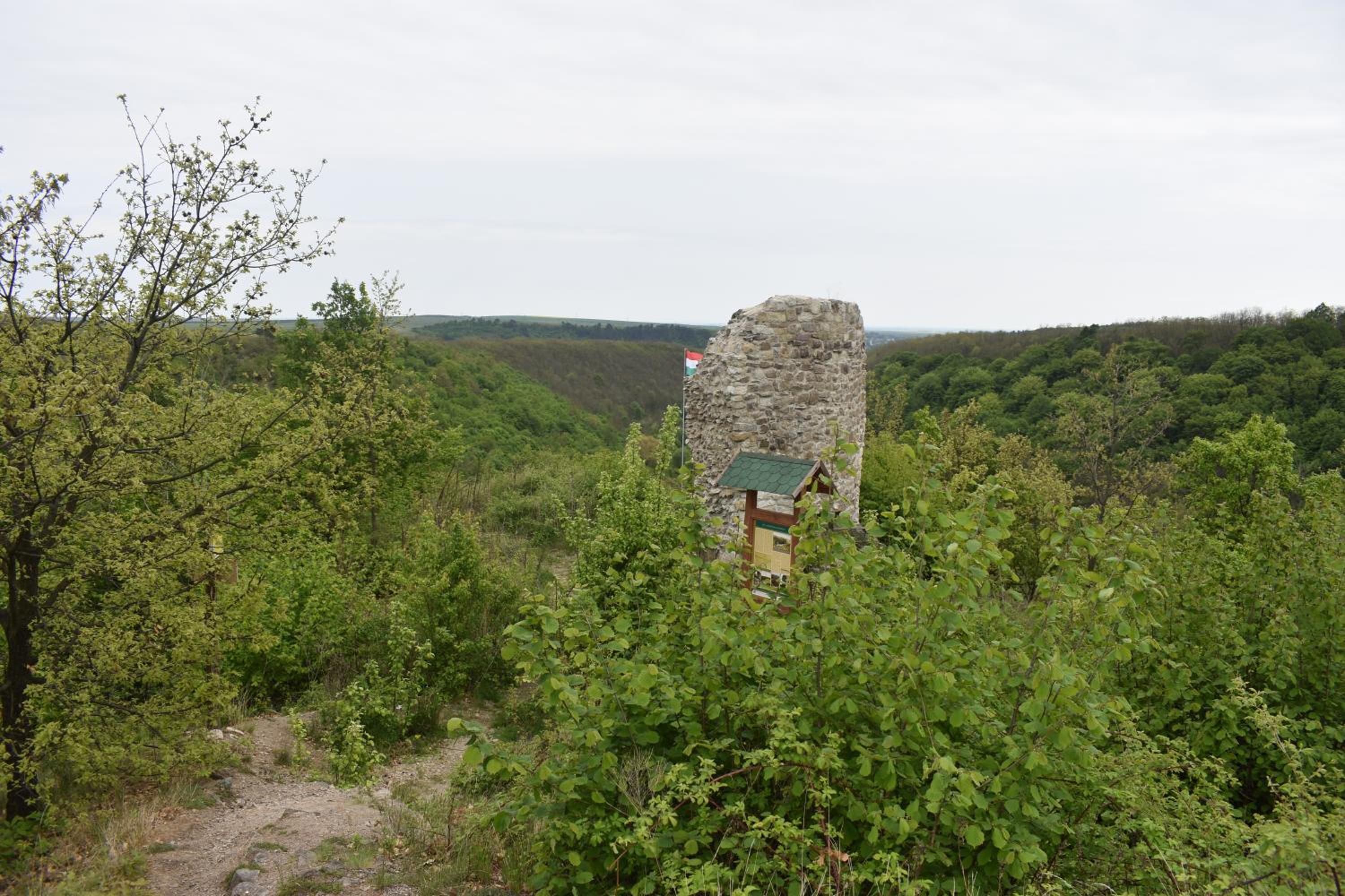 Photo 28
