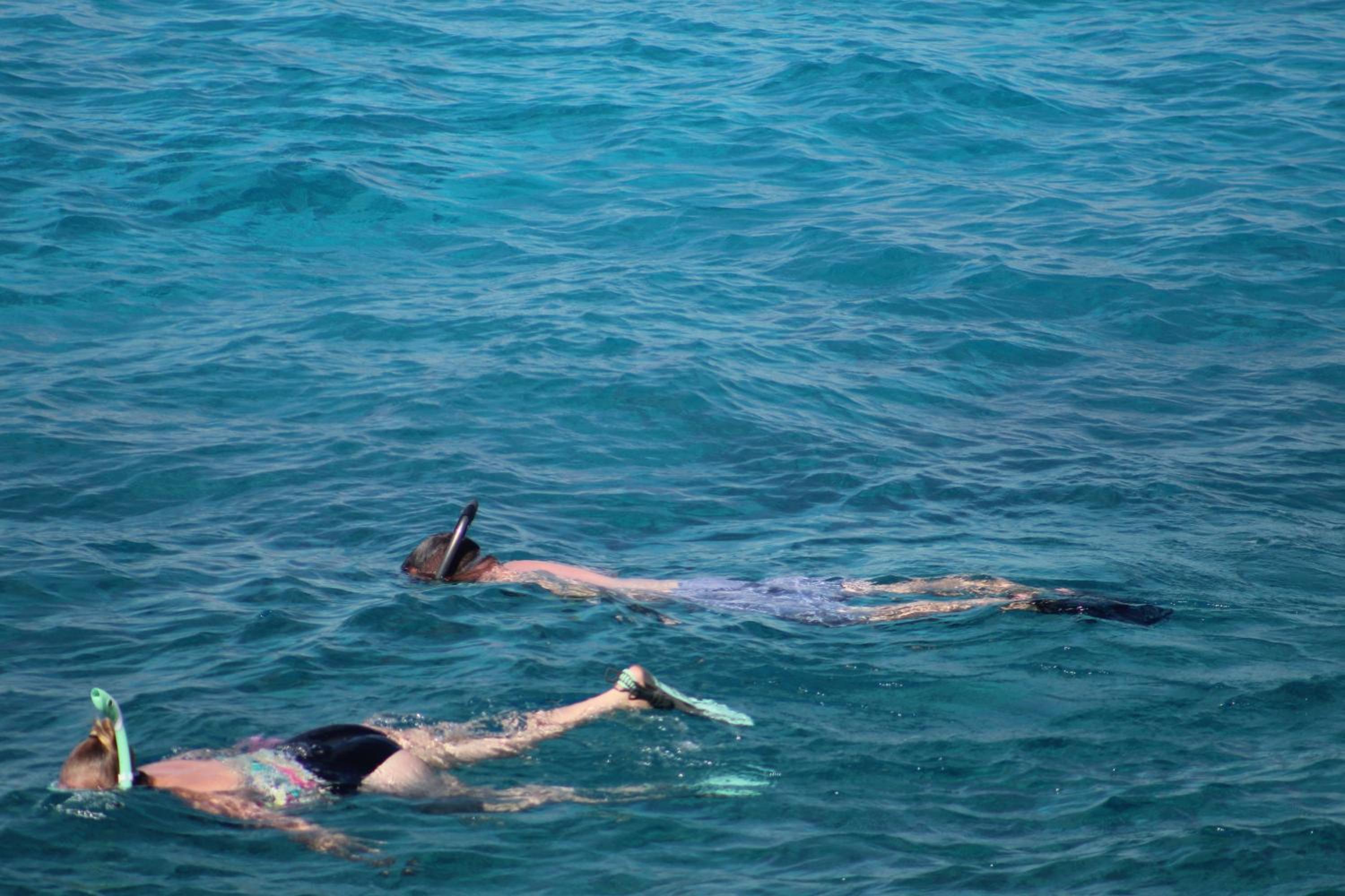 Coral Princess Hotel  Dive Resort - Property Image 69