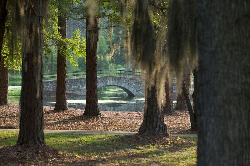Little Ocmulgee State Park and Lodge - Property Image 12