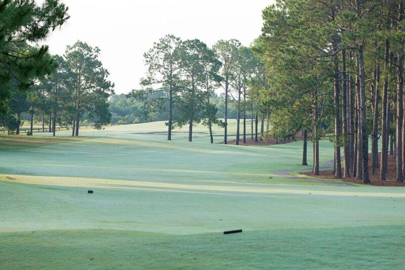 Little Ocmulgee State Park and Lodge - Property Image 11