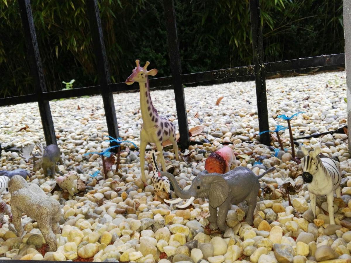 Deauville Vacations - Appartement tout confort refait a neuf - Property Image 6