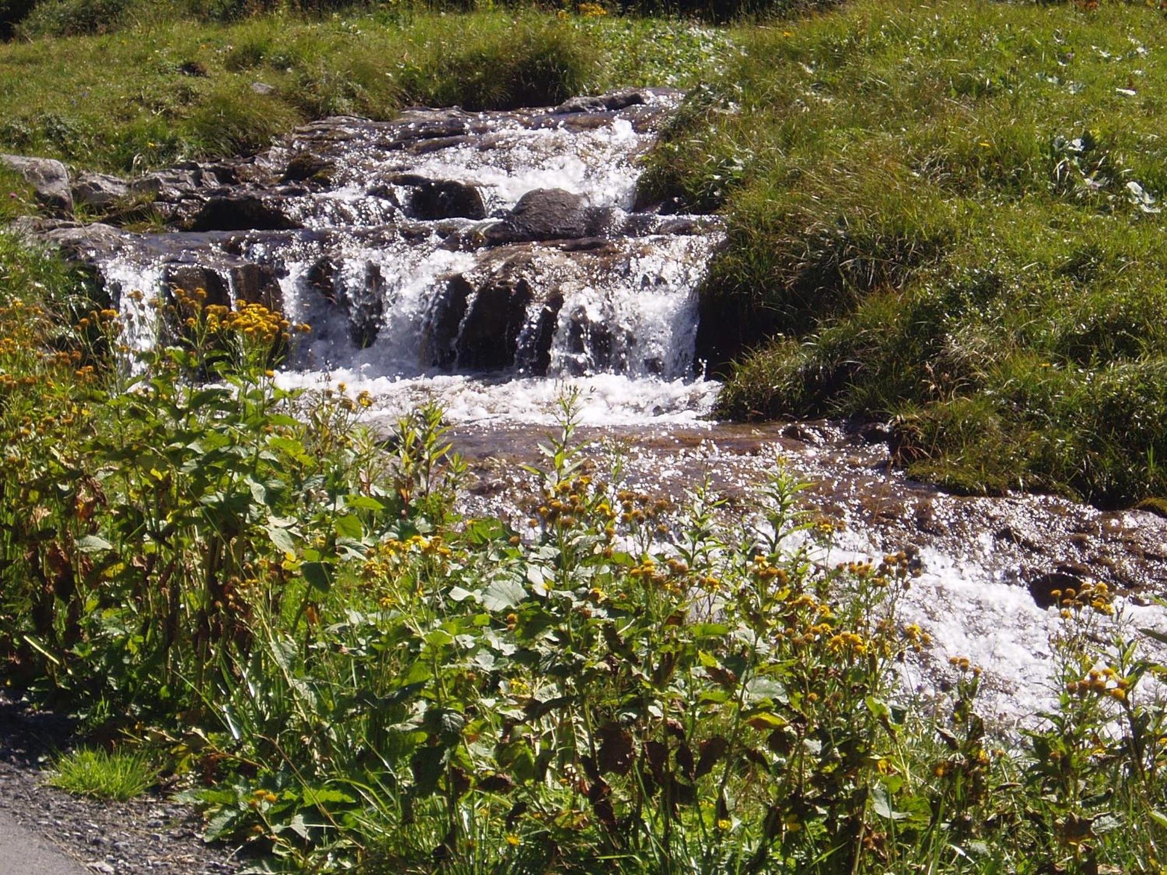 Photo 31