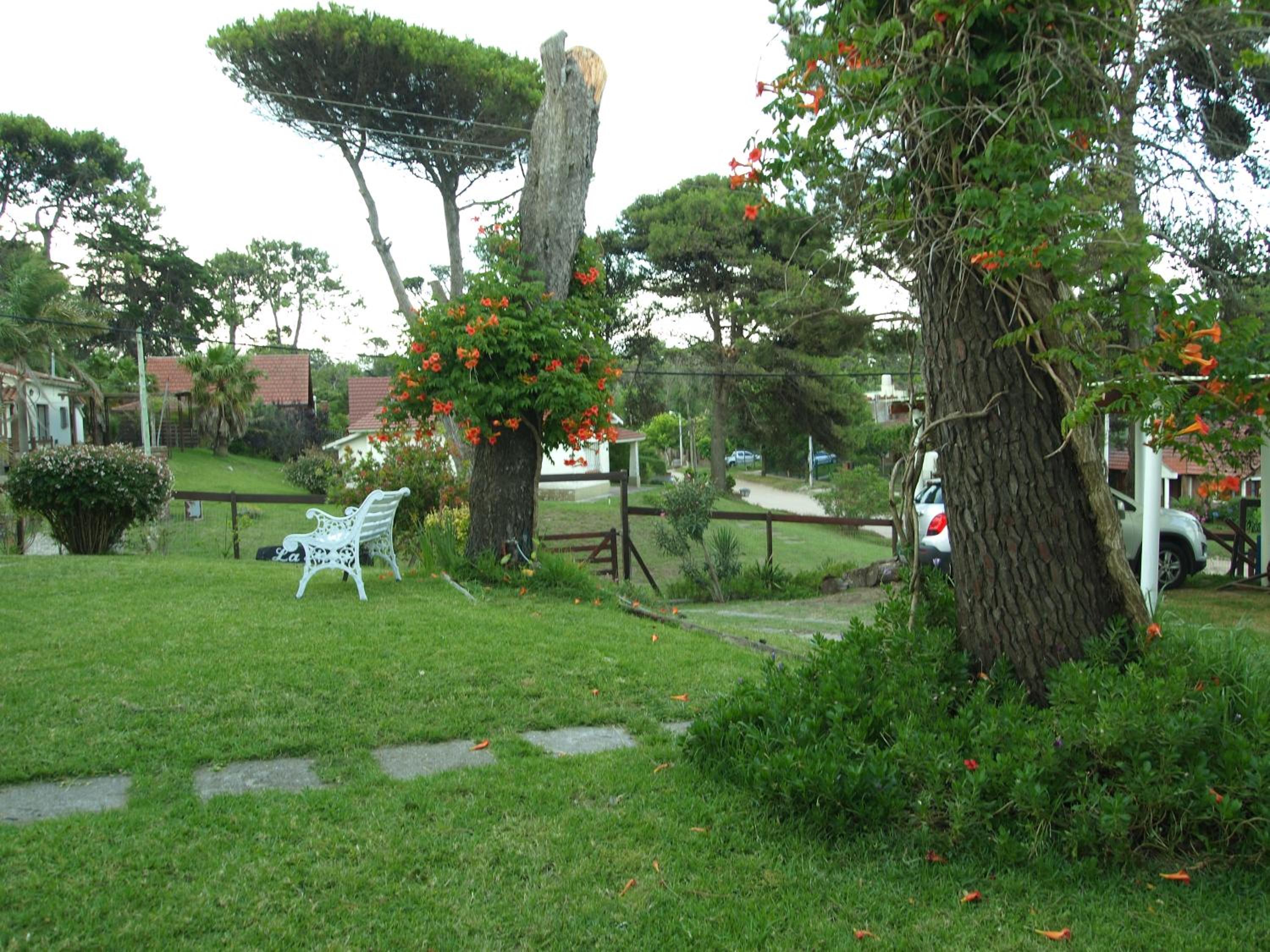 Lomita Gesell
