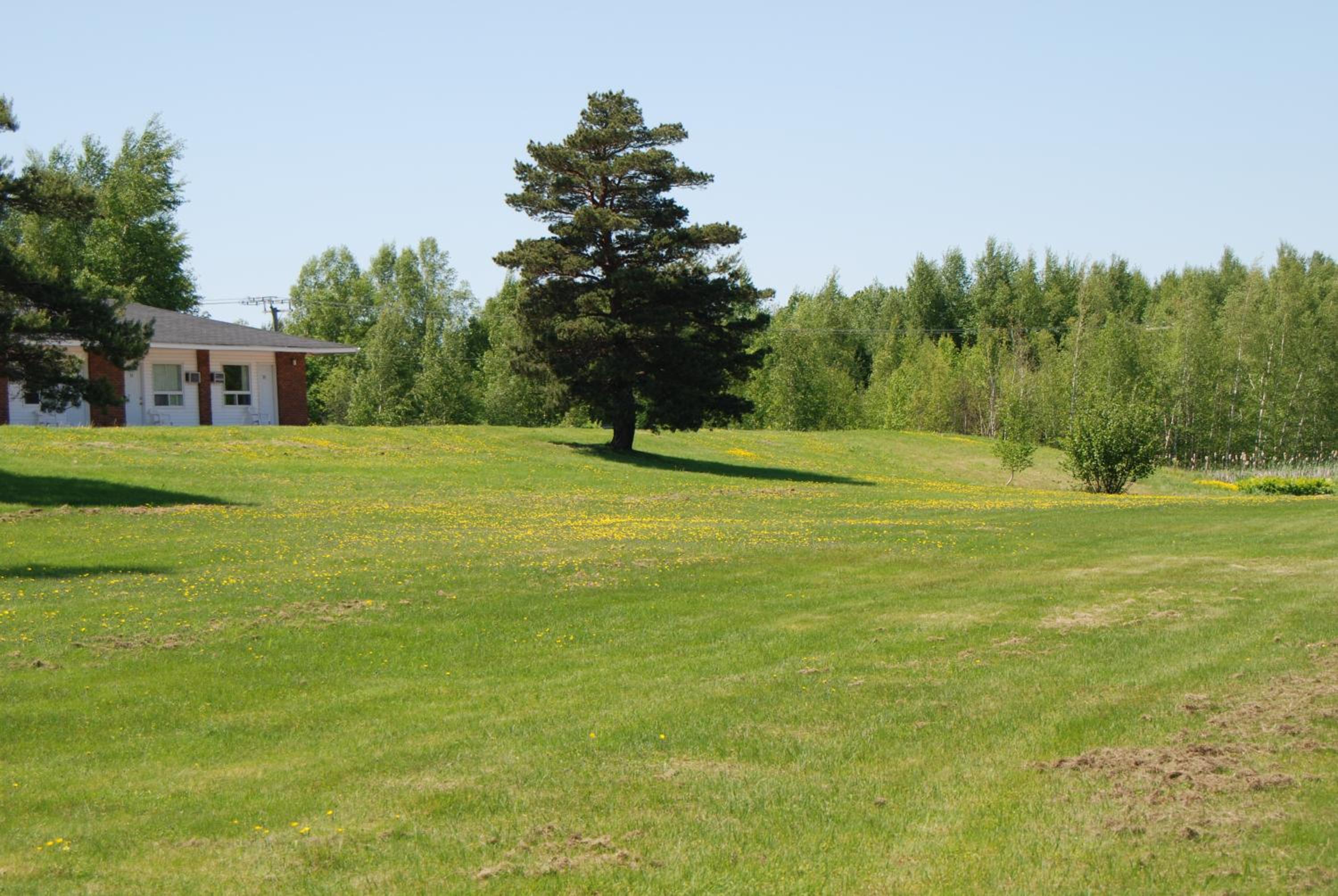Sackville Inn