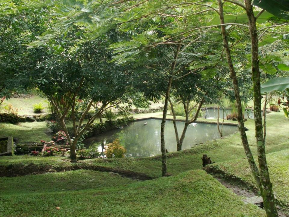 Hospedaje La Naciente