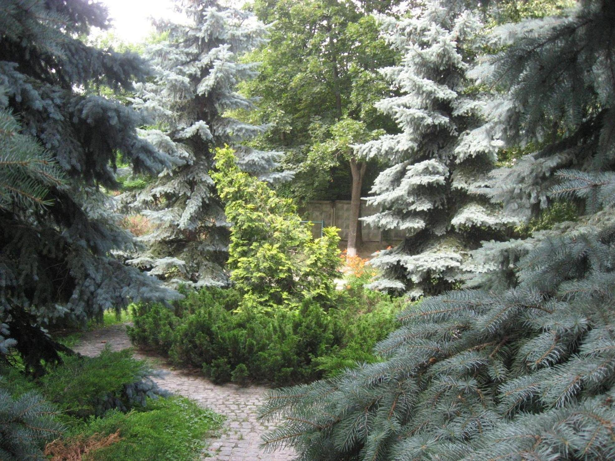 Photo 30
