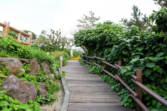 Haeansung Pension view 3