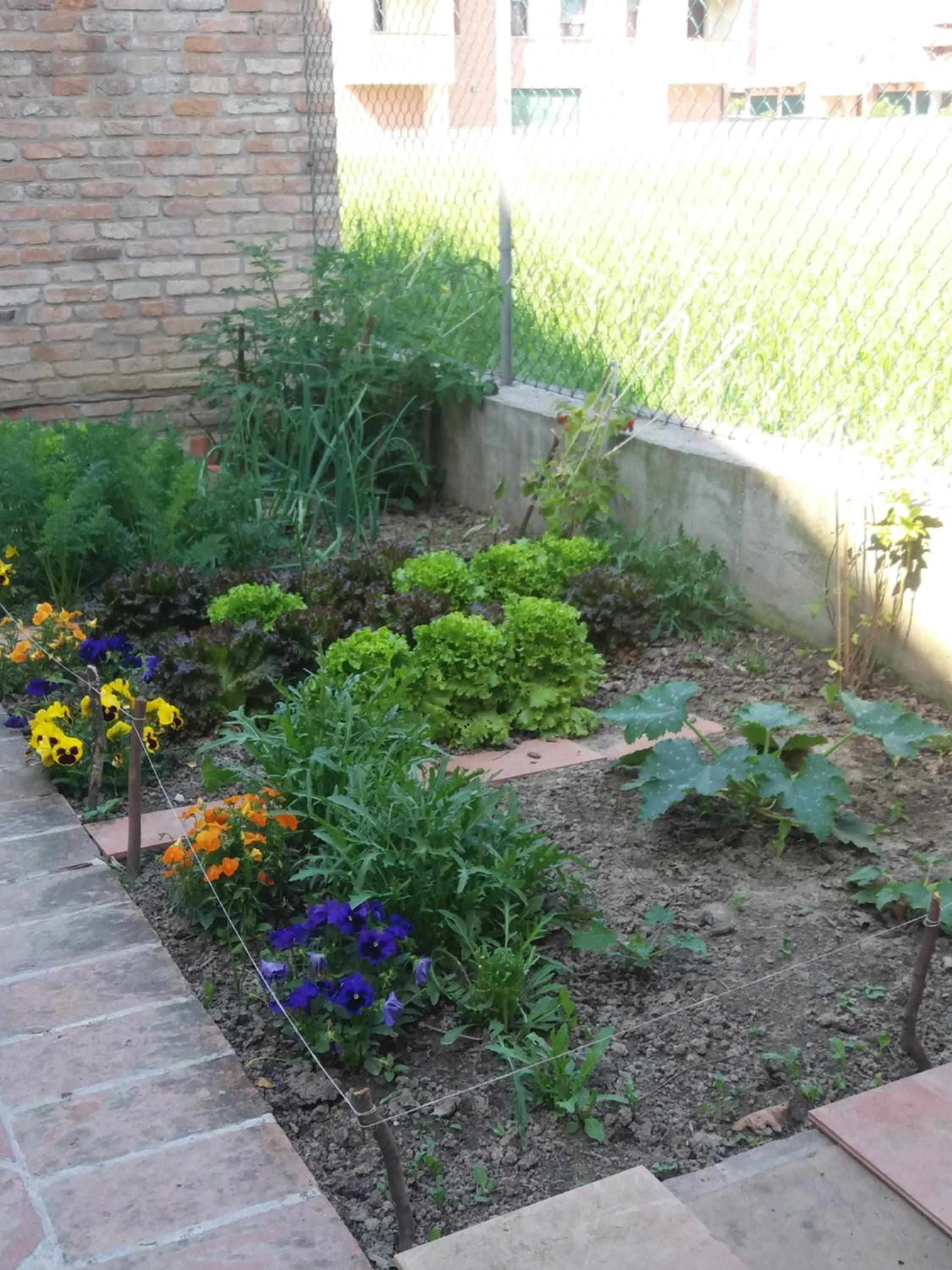 Photo 52